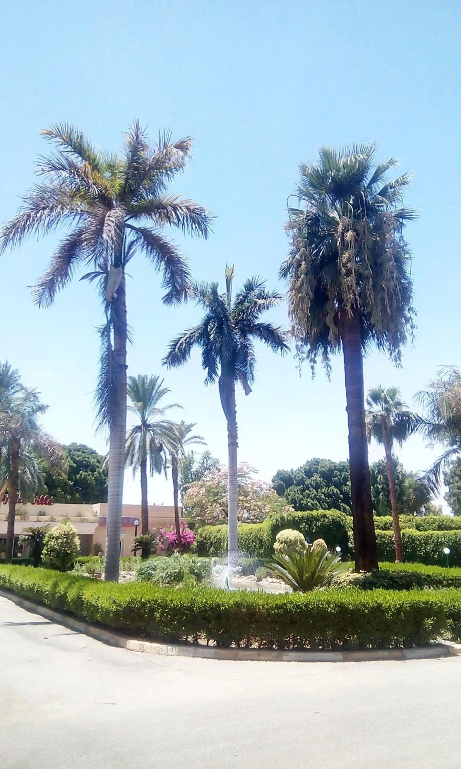 Summer in Jolie Ville Hotel & Spa Kings Island Luxor