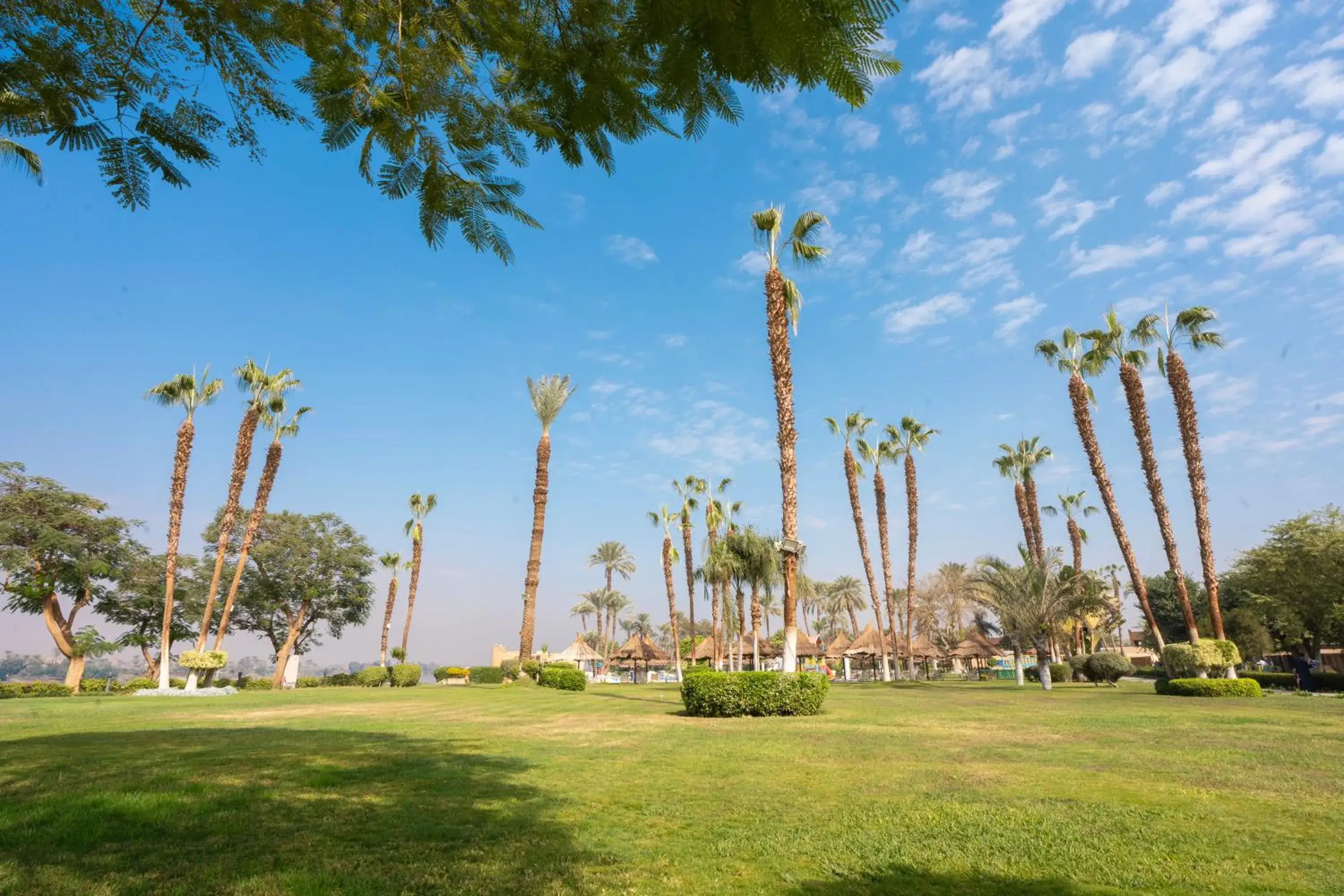 Garden view in Jolie Ville Hotel & Spa Kings Island Luxor Garden view in Jolie Ville Hotel & Spa Kings Island Luxor