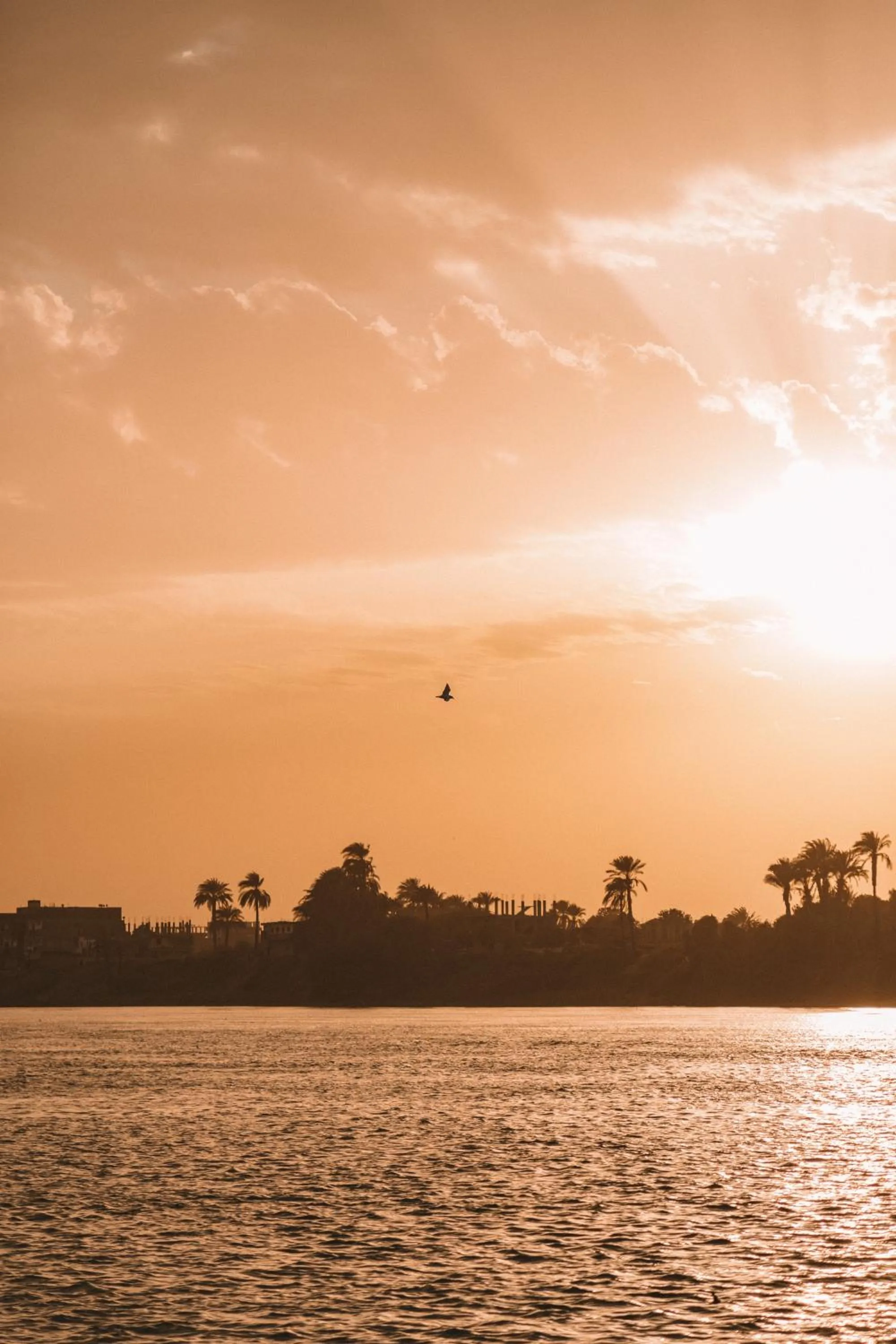 Winter in Jolie Ville Hotel & Spa Kings Island Luxor