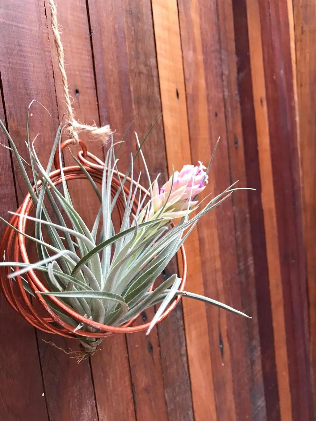 Decorative detail in Pickbaan