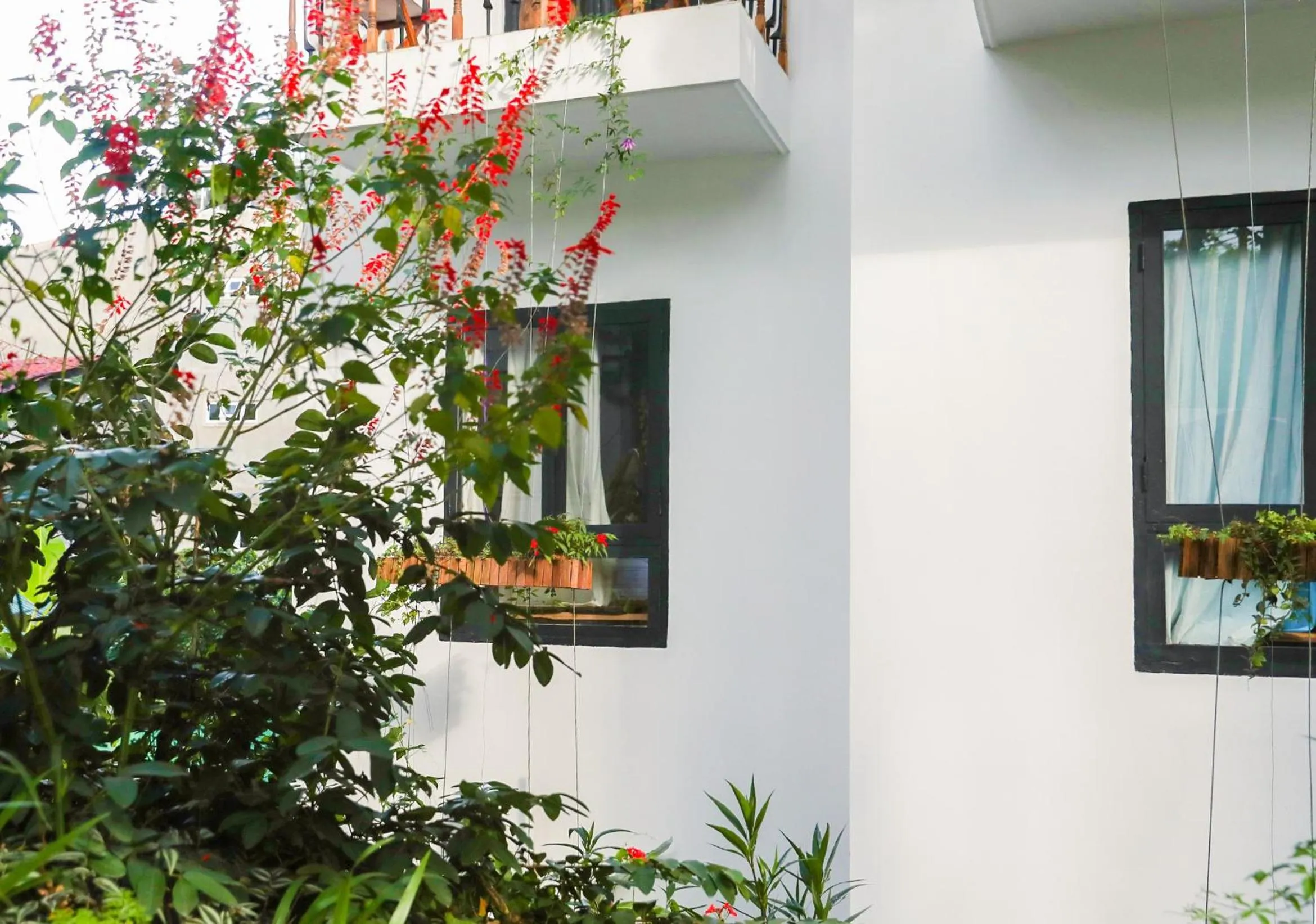 Garden in Stop and Go Boutique Hotel