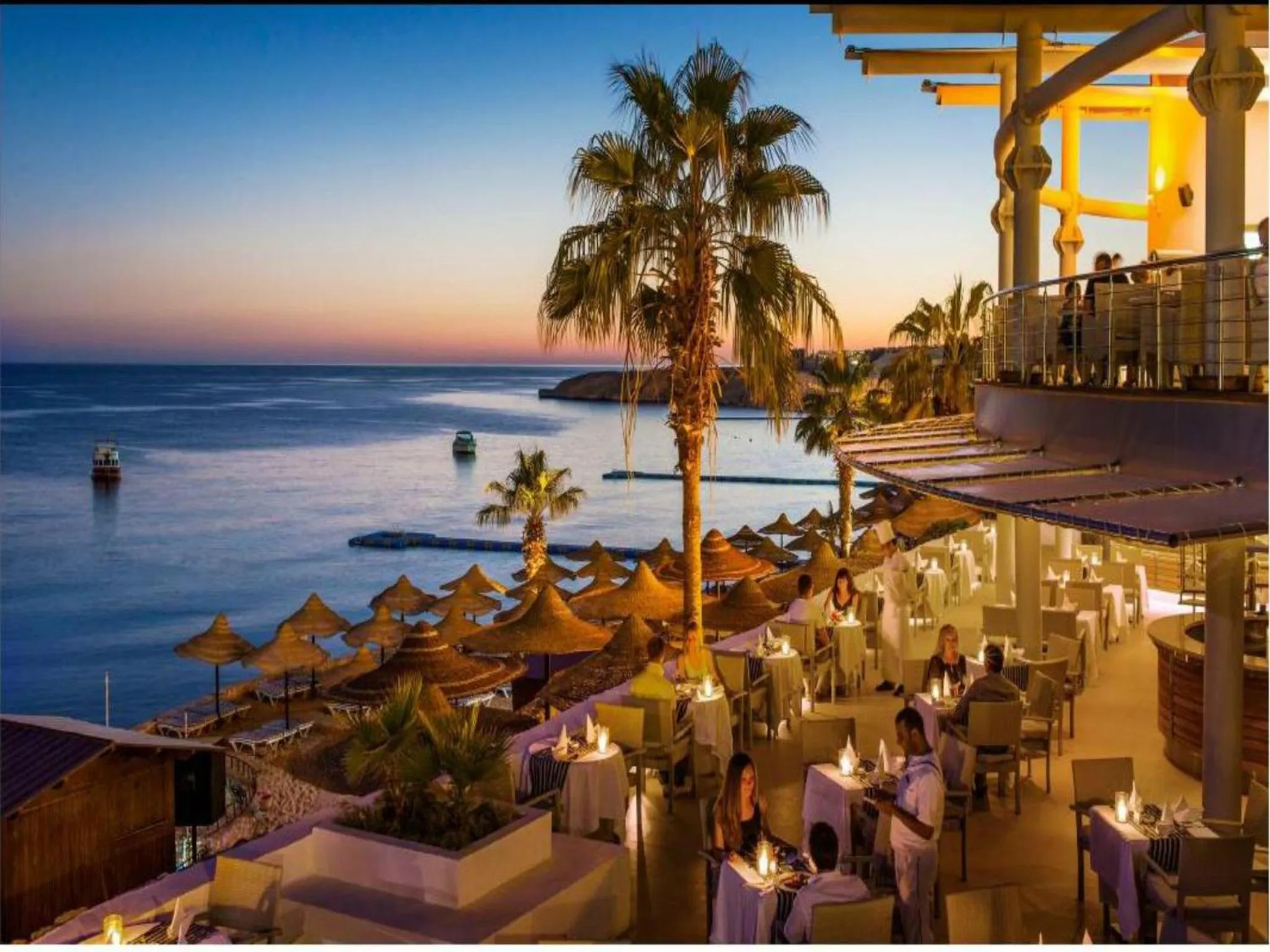 Restaurant/places to eat in Concorde El Salam Sharm El Sheikh Front Hotel