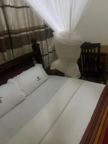 Acactus hotel