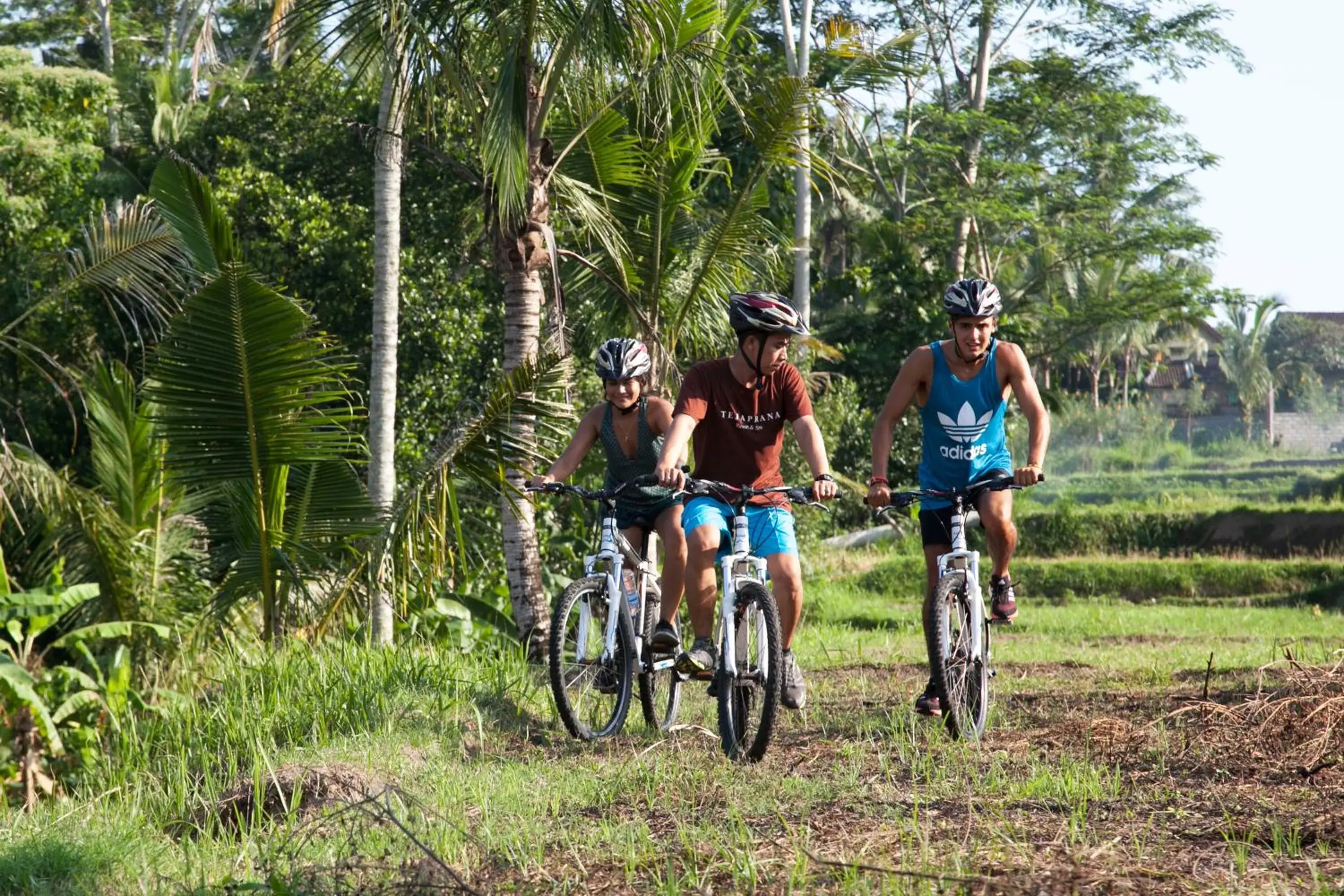 Cycling, Horseback Riding in Tejaprana Resort & Spa - CHSE Certified