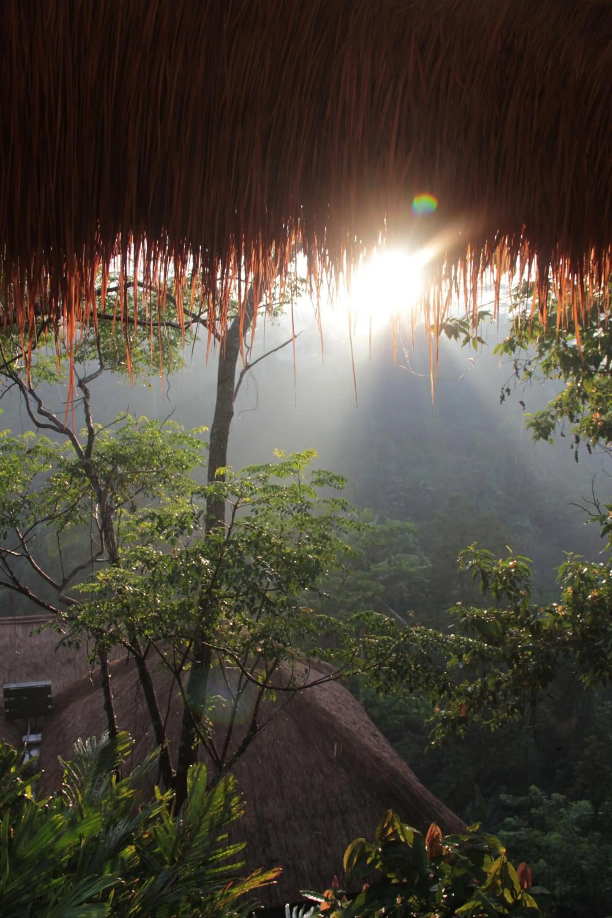 View (from property/room) in Tejaprana Resort & Spa