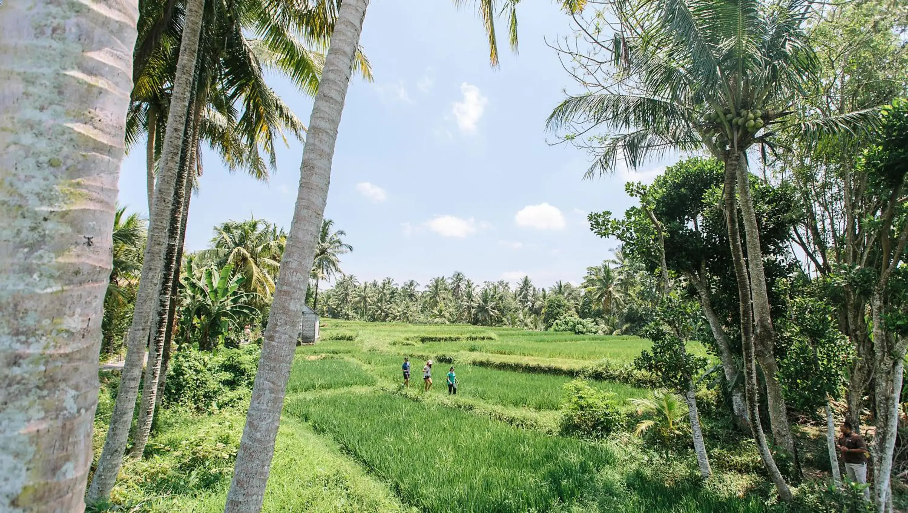 Nearby landmark, Garden in Tejaprana Resort & Spa - CHSE Certified