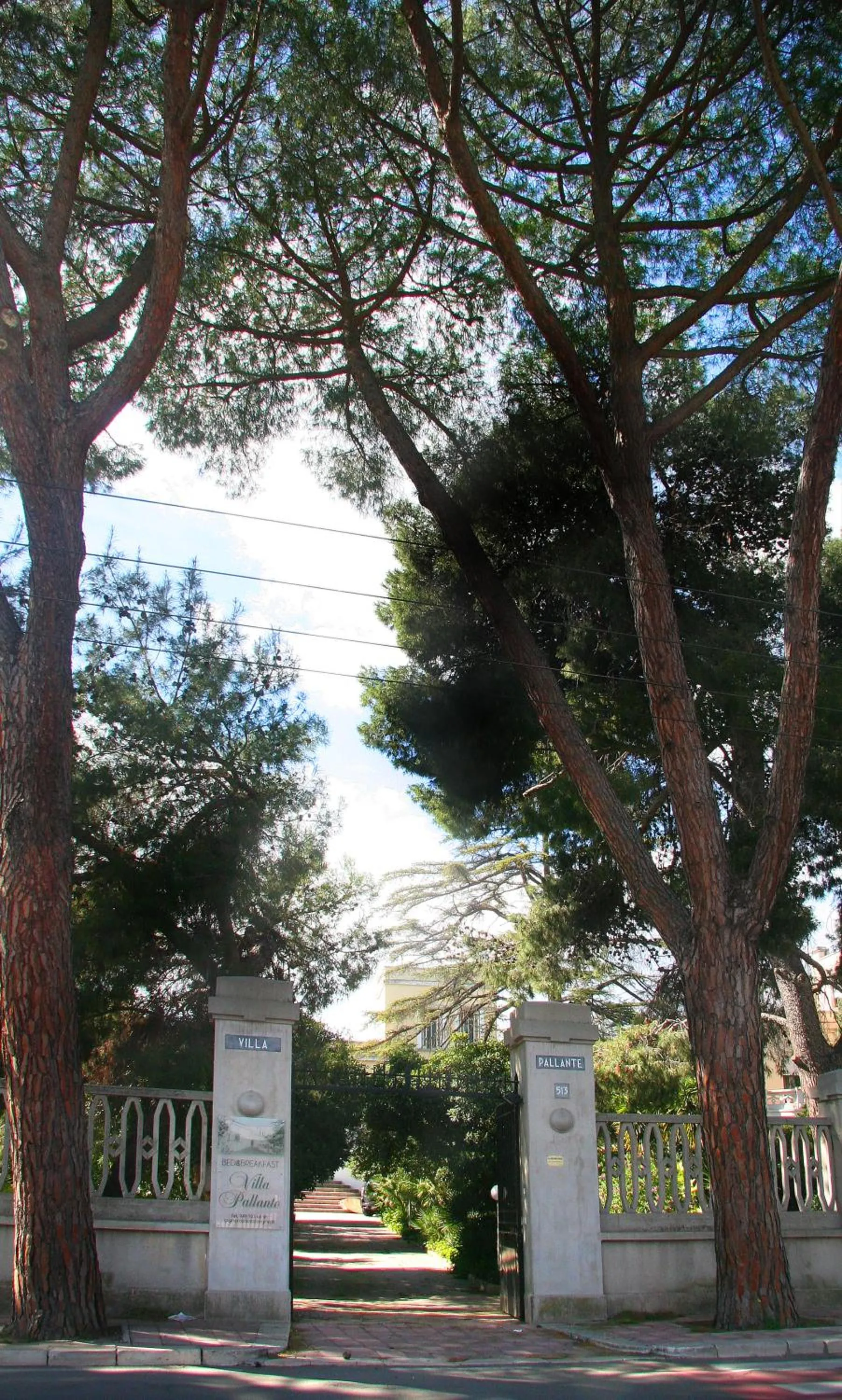 Day in B&B Villa Pallante