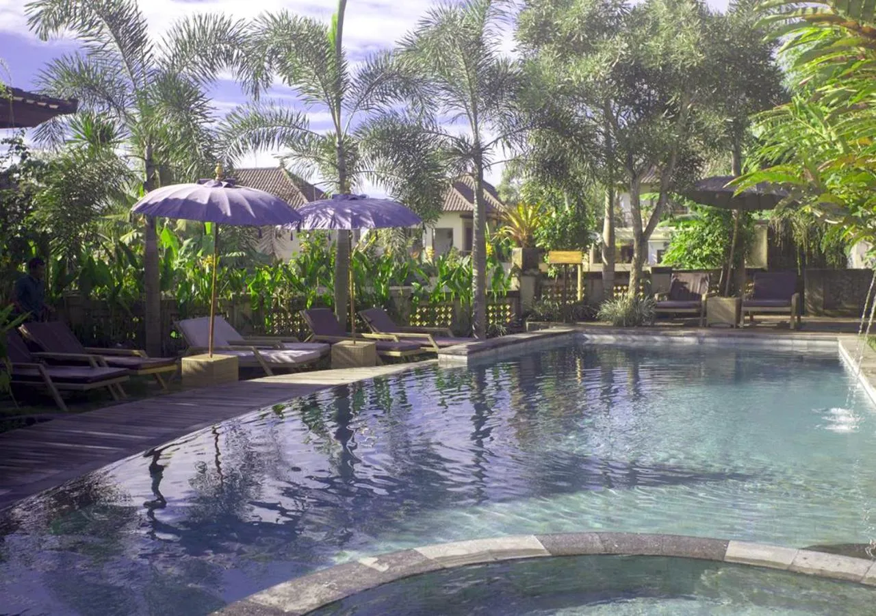 Spring in Masia Villa Ubud