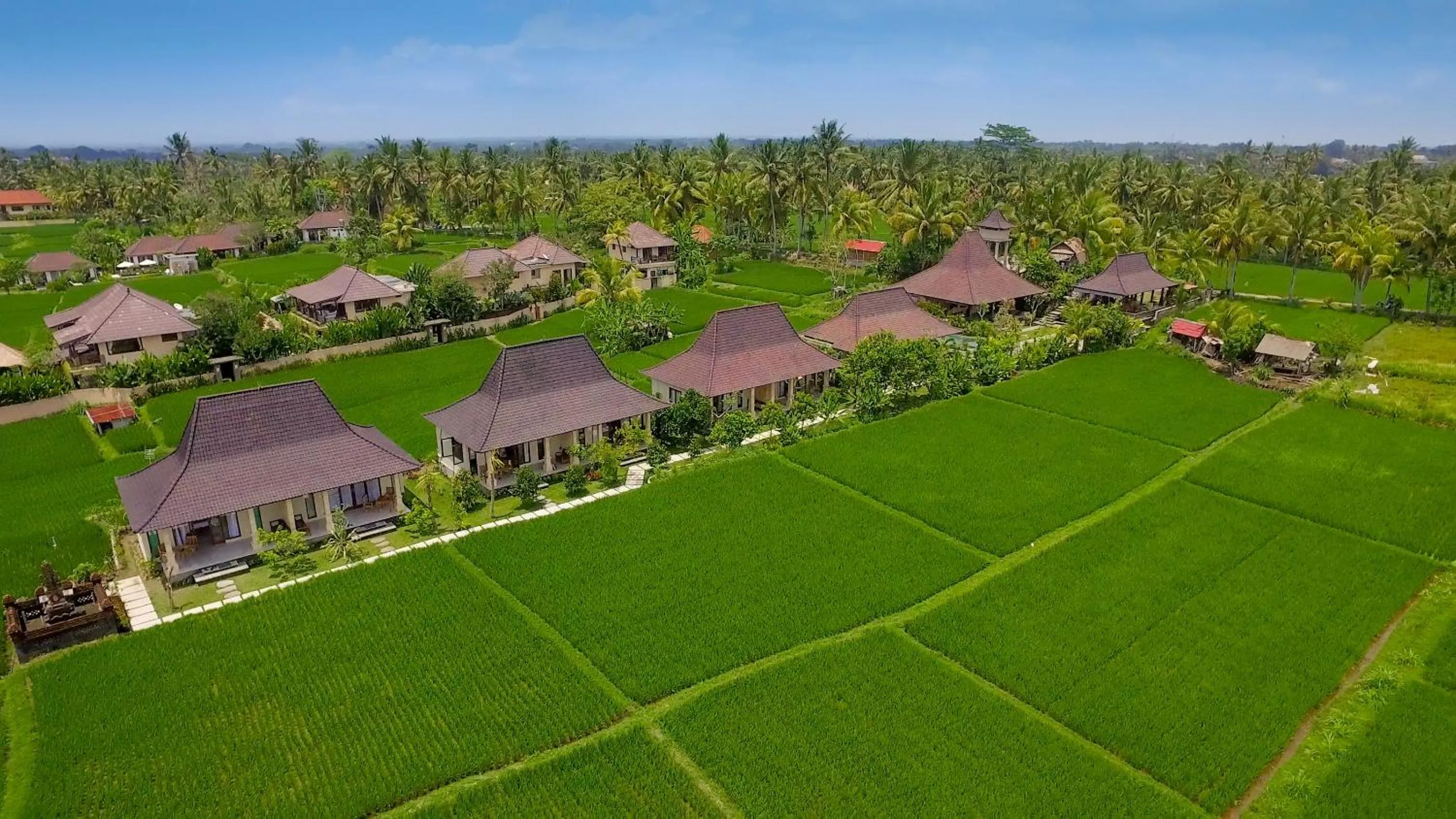 Day in Masia Villa Ubud