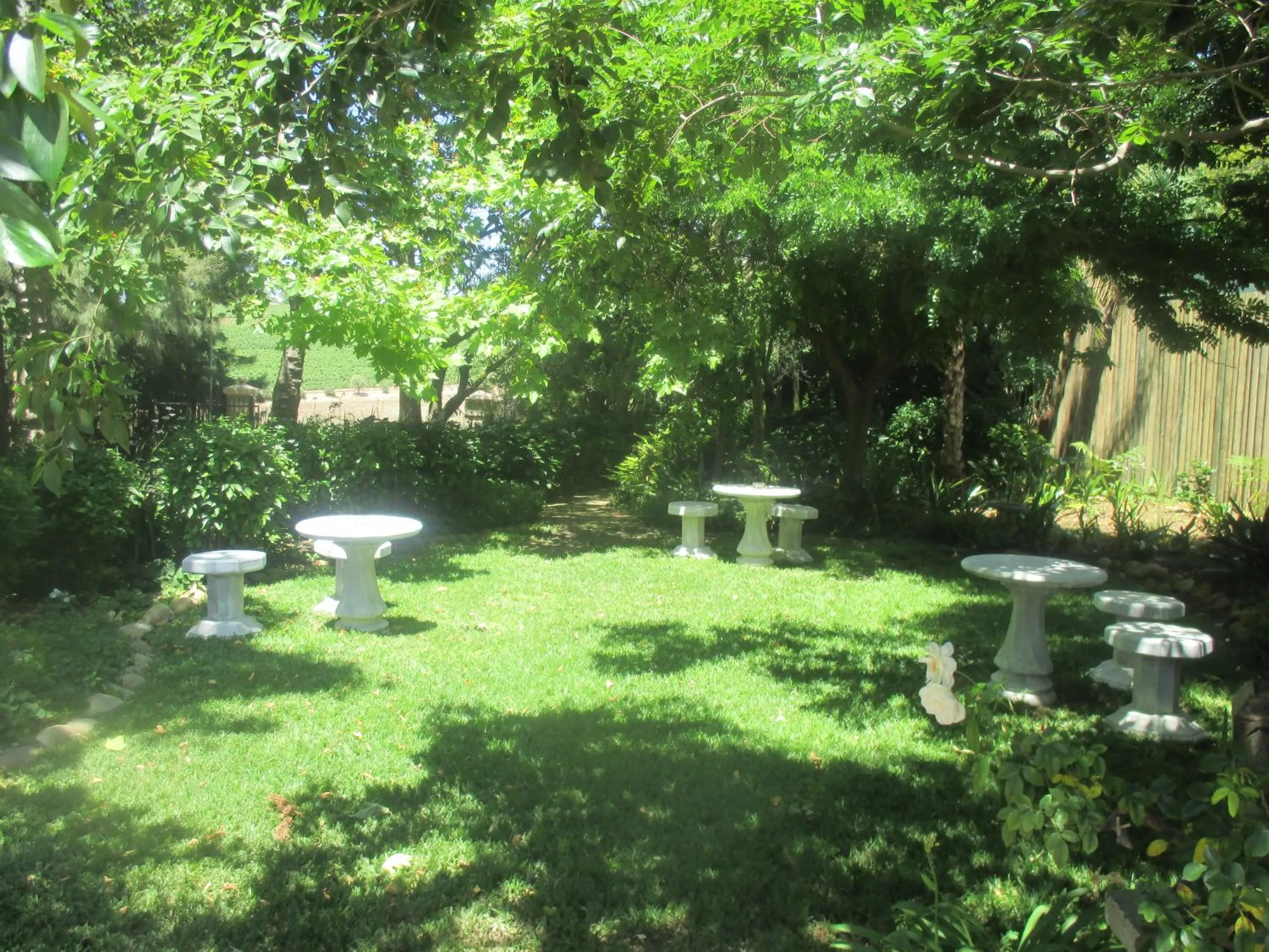 Garden view in Clos Malverne Wine Estate