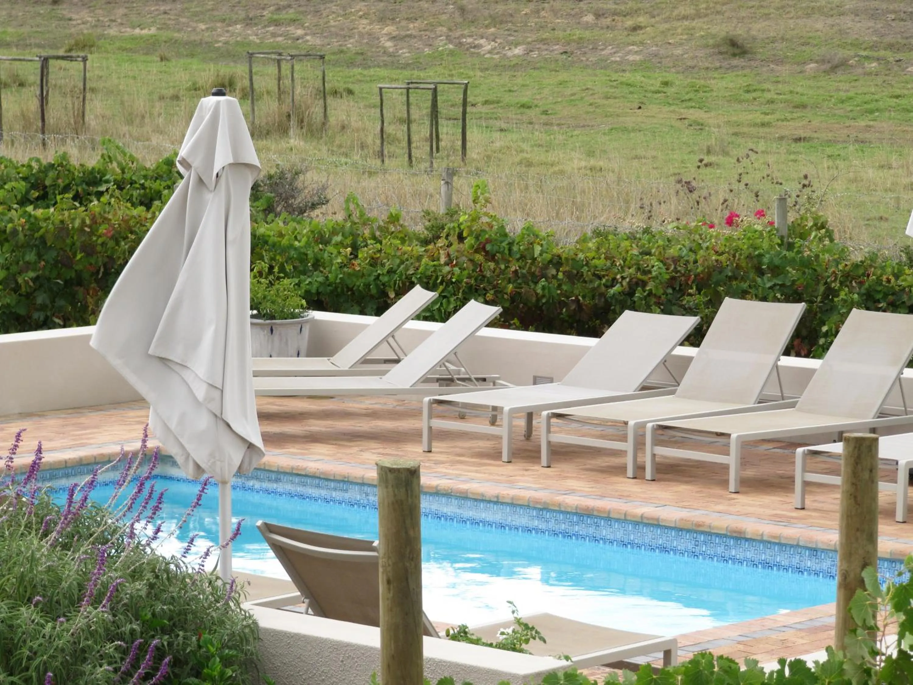 Swimming pool in Clos Malverne Wine Estate