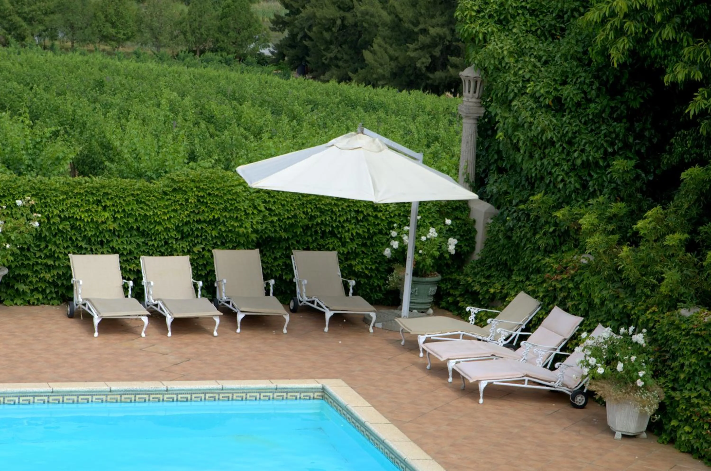 Swimming pool in Clos Malverne Wine Estate