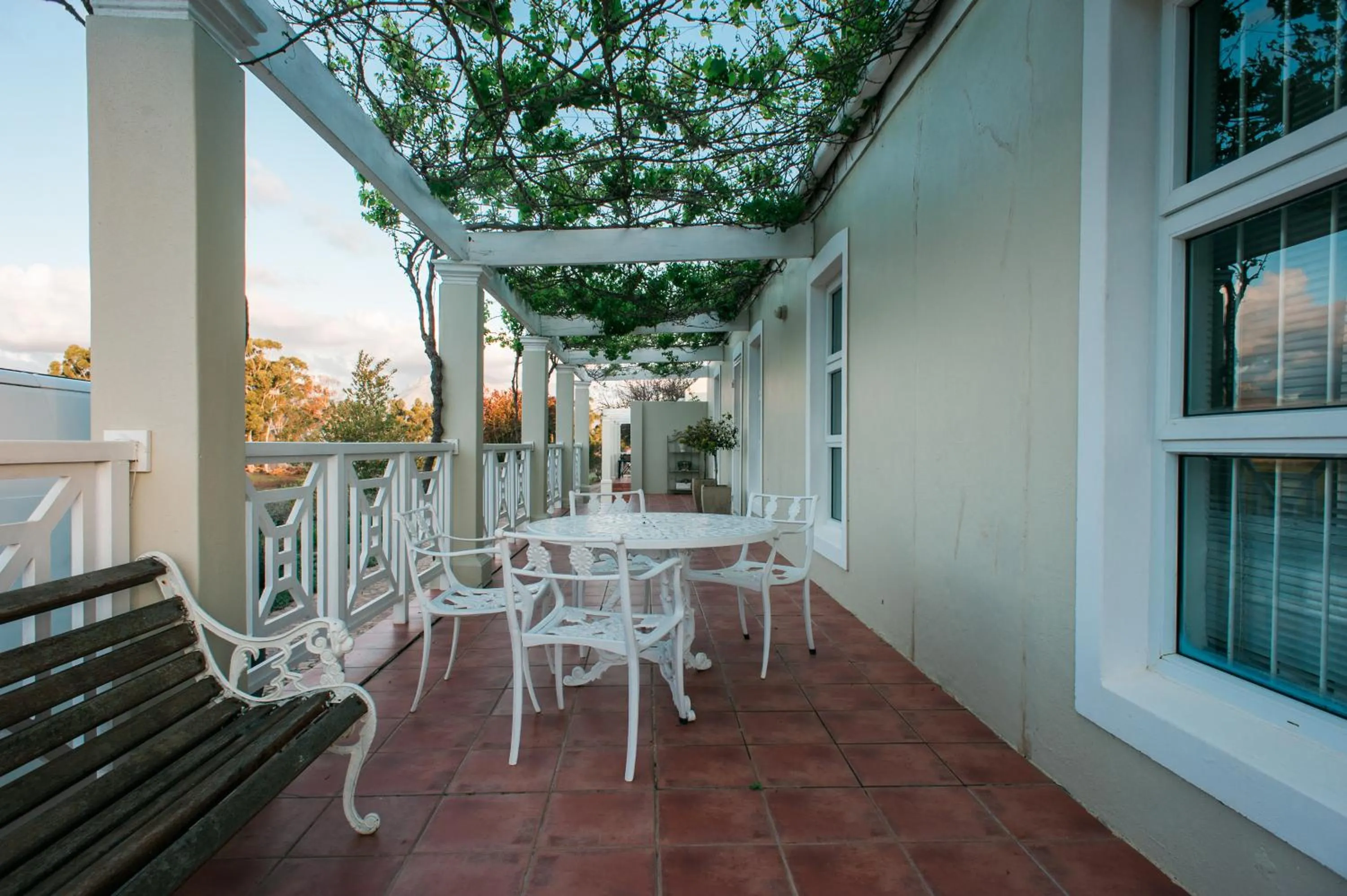 Day in Clos Malverne Wine Estate