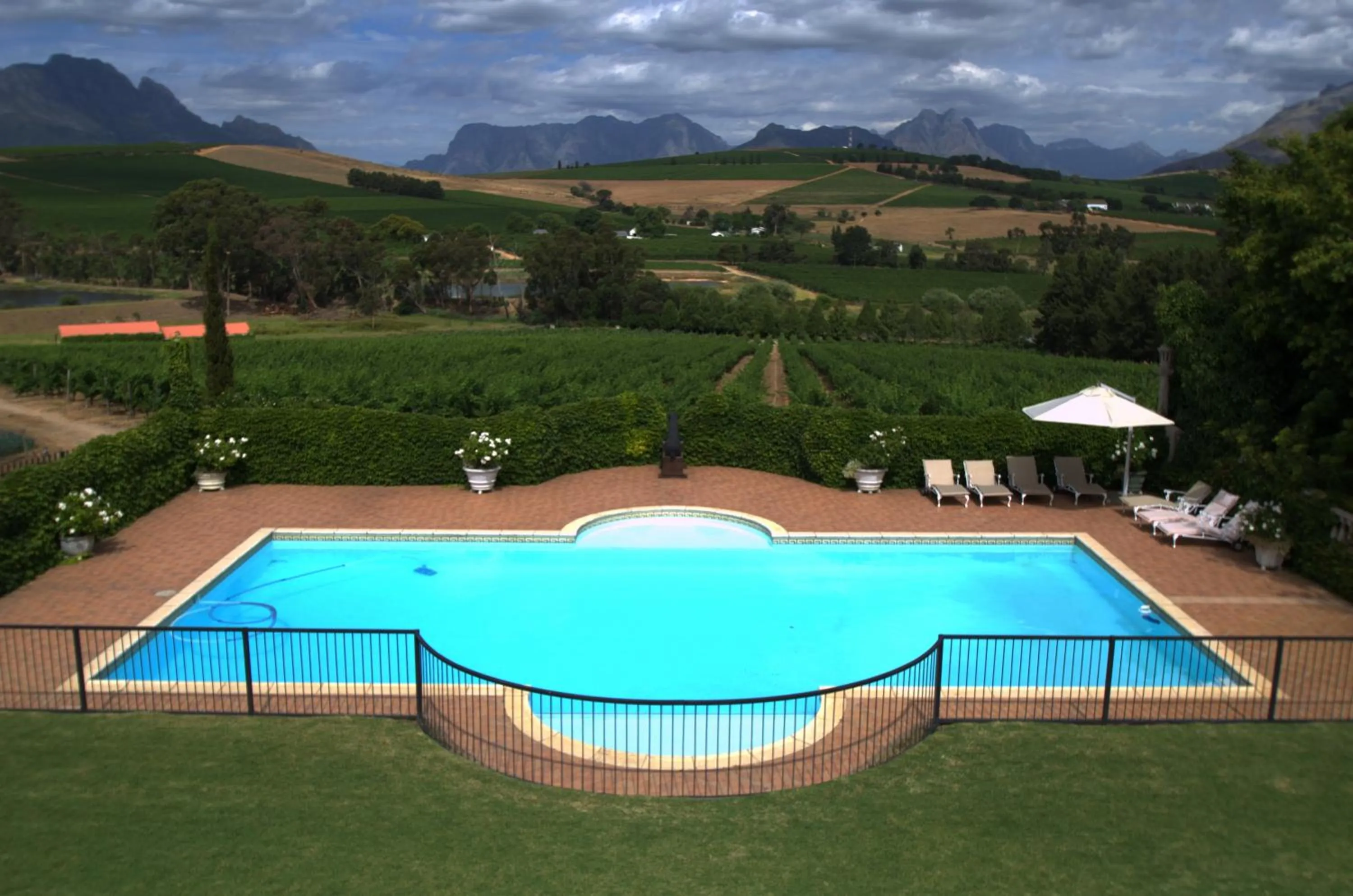 Summer in Clos Malverne Wine Estate