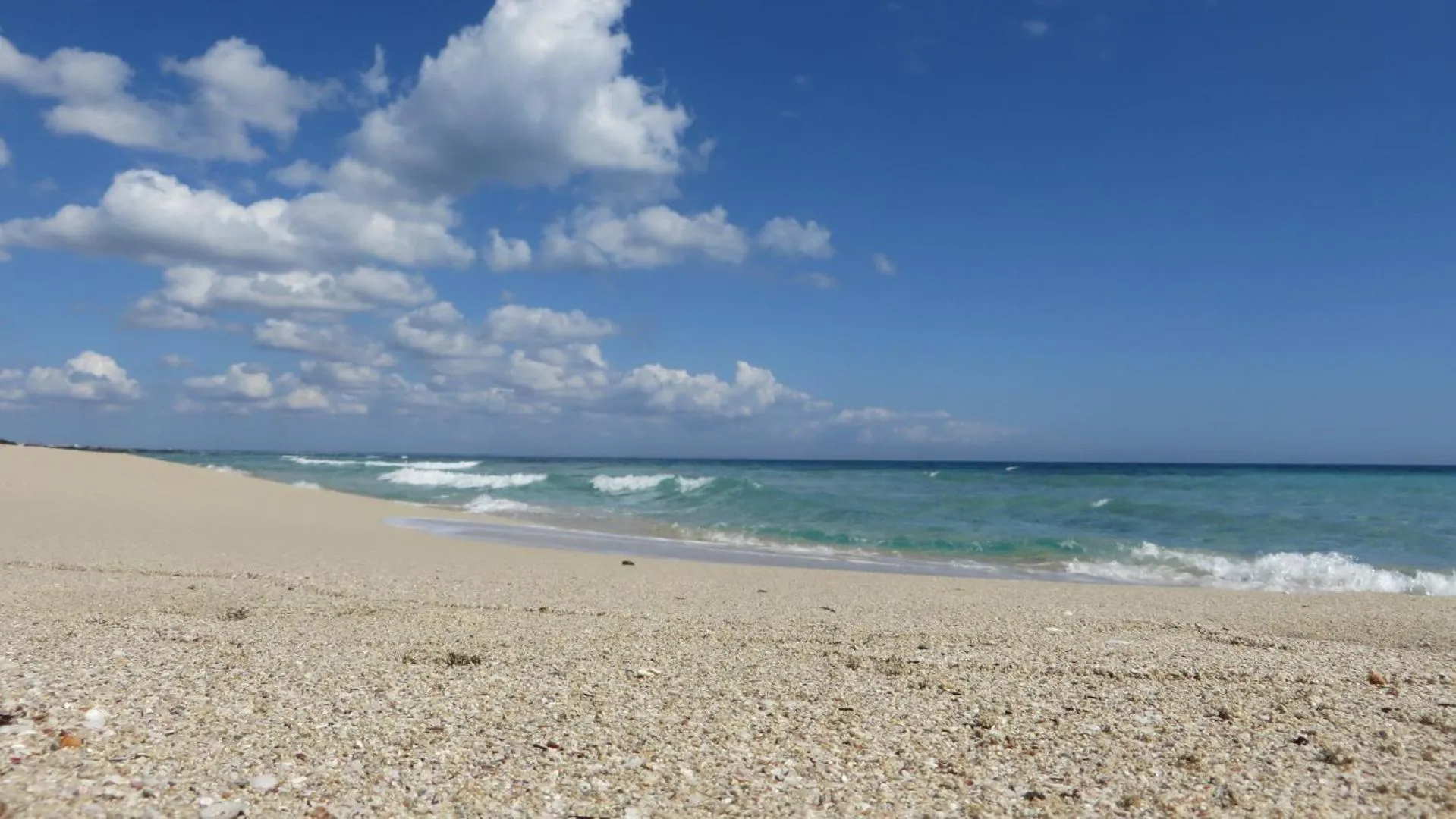Beach in Hotel Grecale