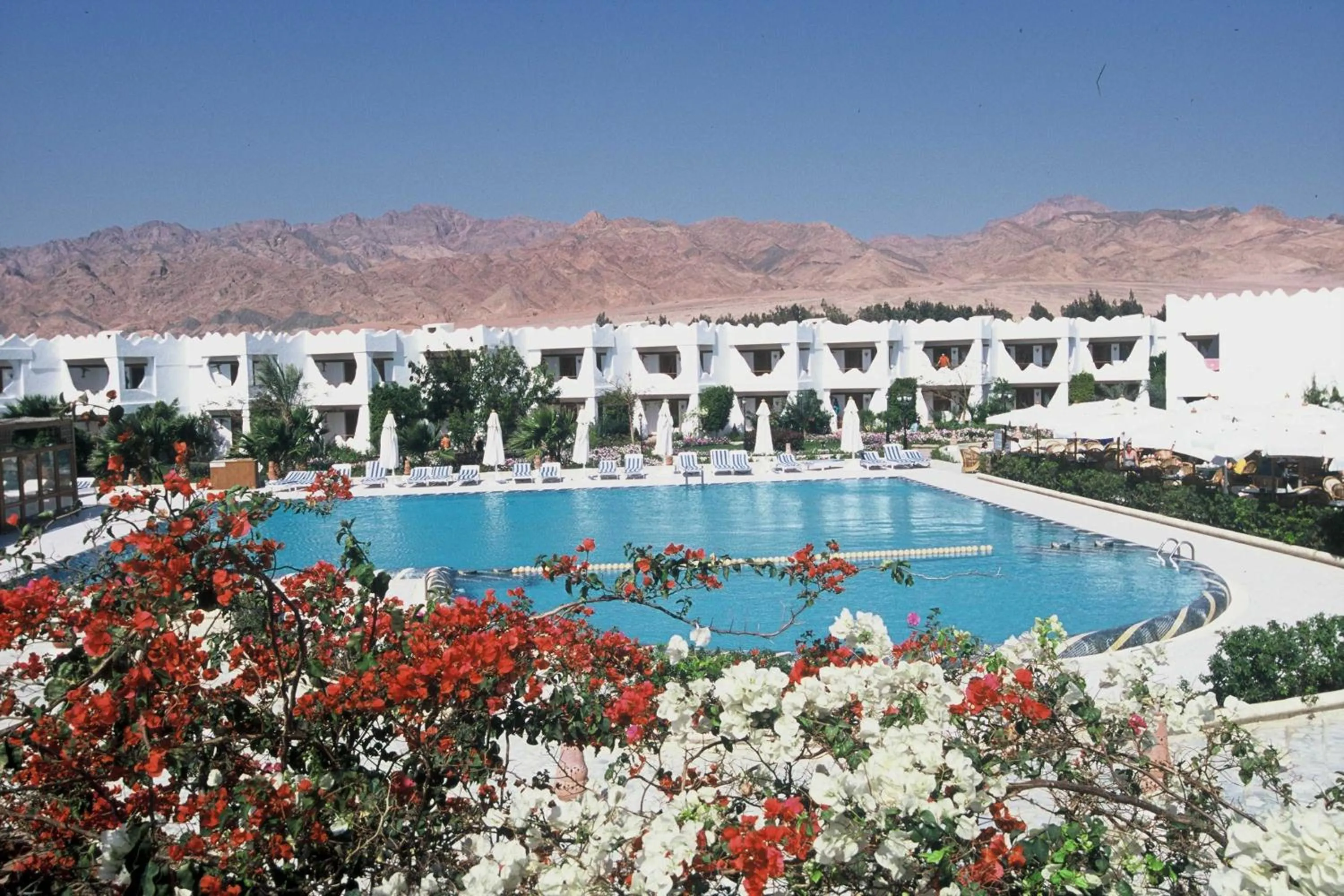 Swimming pool in Swiss Inn Resort Dahab