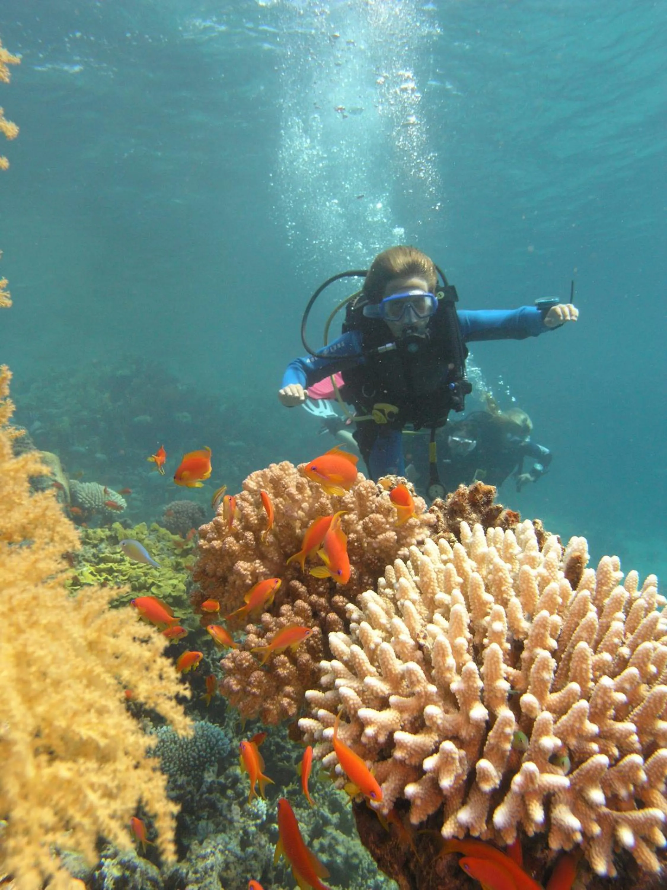 Diving in Swiss Inn Resort Dahab