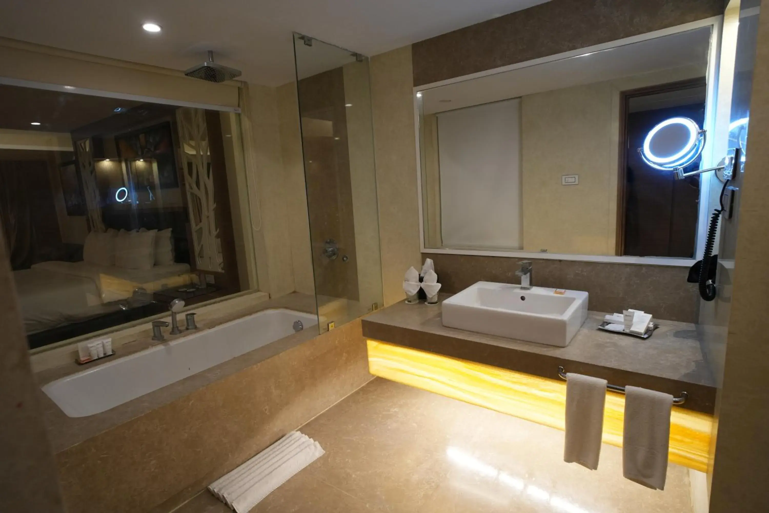 Business Class Room- Enjoy 20% off on Food & Soft Beverages and Spa in Radisson Udaipur Business Class Room- Enjoy 20% off on Food & Soft Beverages and Spa in Radisson Udaipur