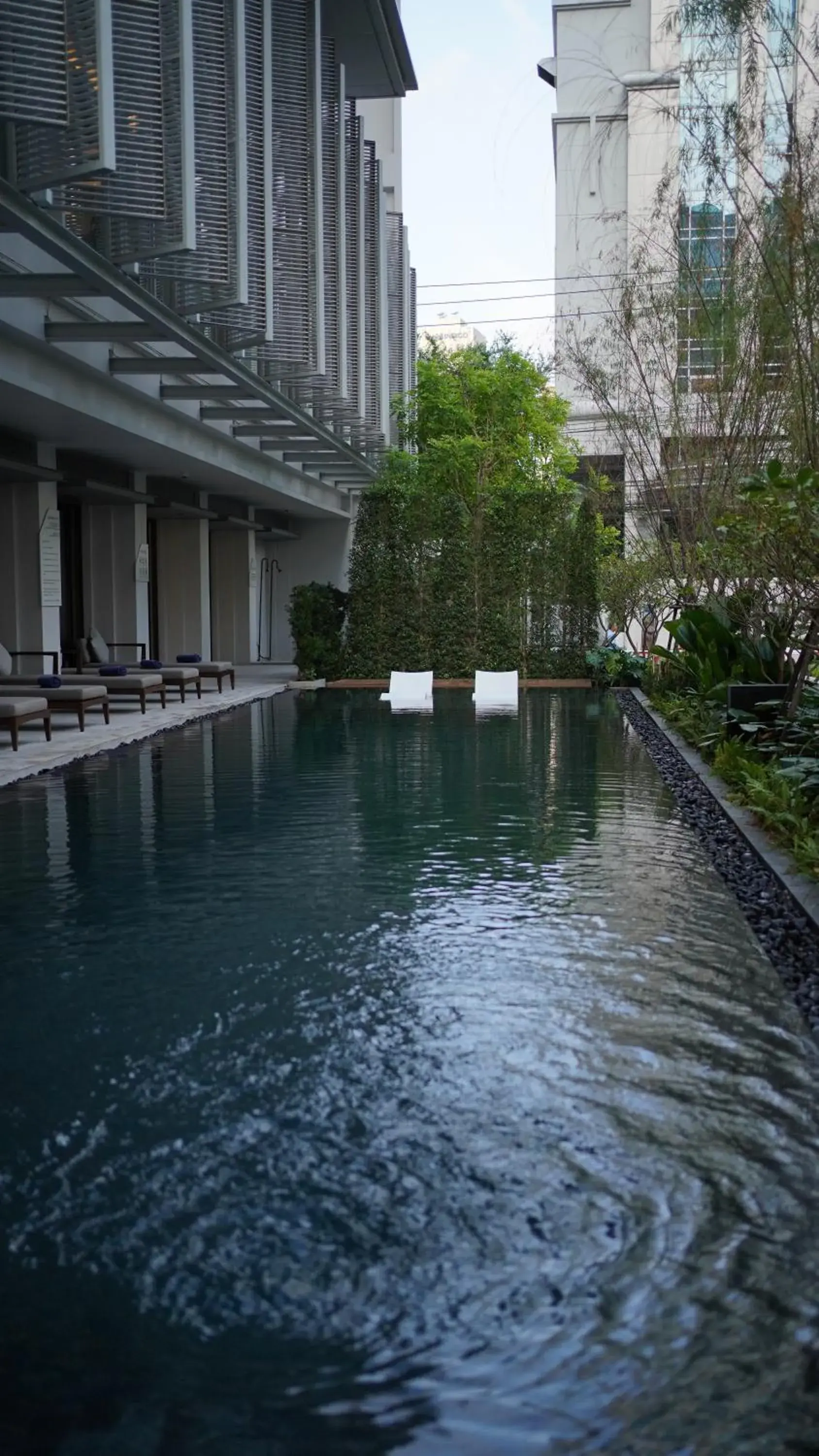 Swimming pool in Maison Hotel Bangkok Swimming pool in Maison Hotel Bangkok