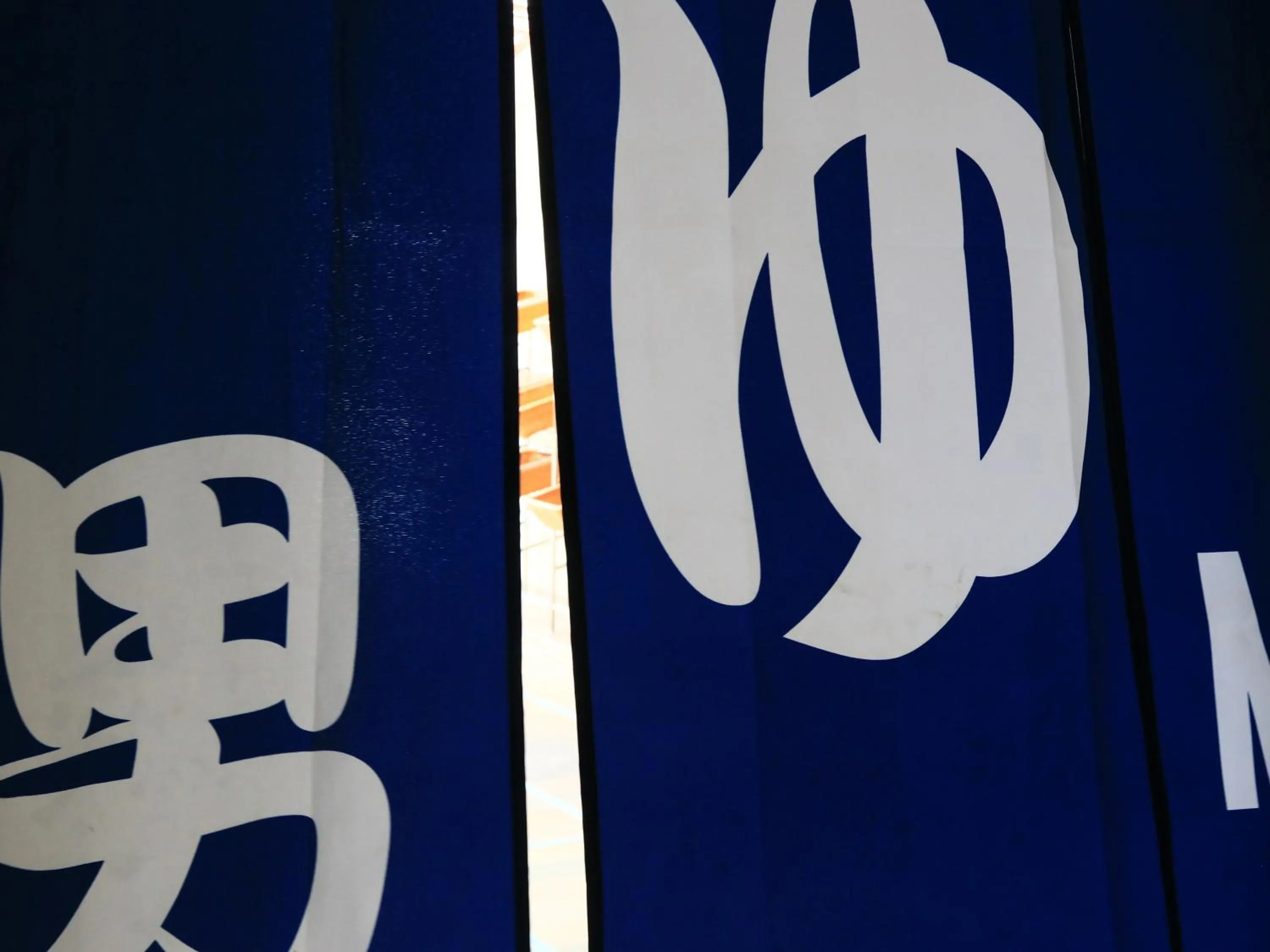 Hot Spring Bath in Suzunami