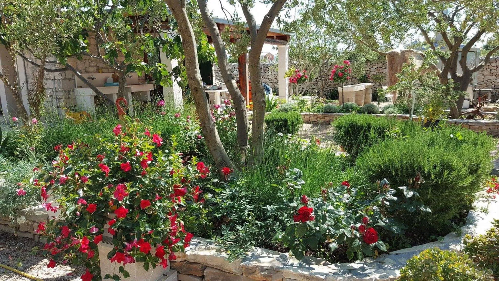 Garden in Mobile Homes Holiday Olive Garden