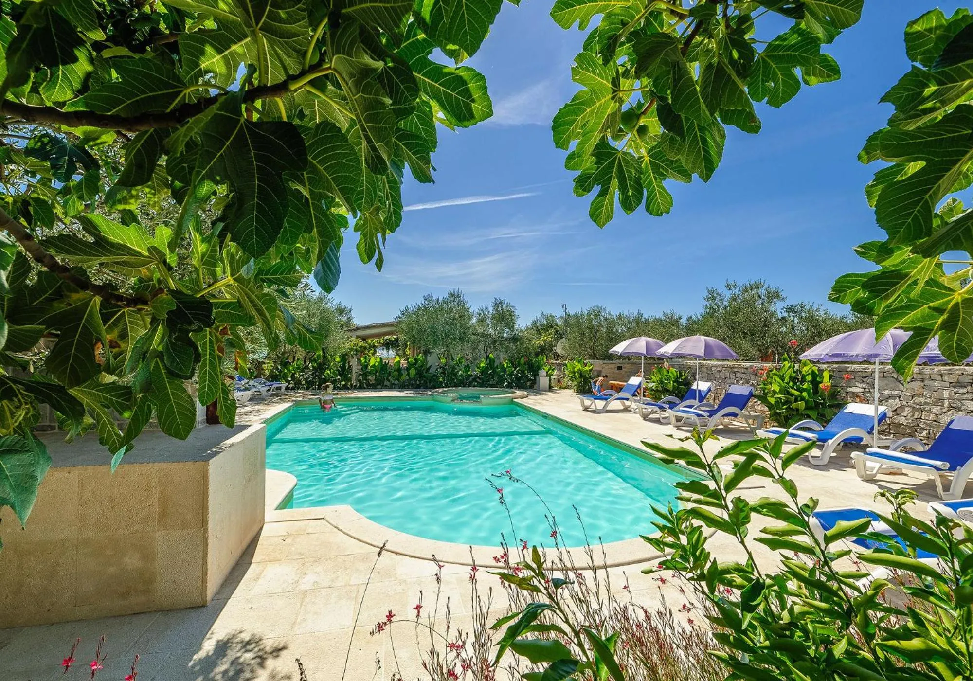 Garden in Mobile Homes Holiday Olive Garden