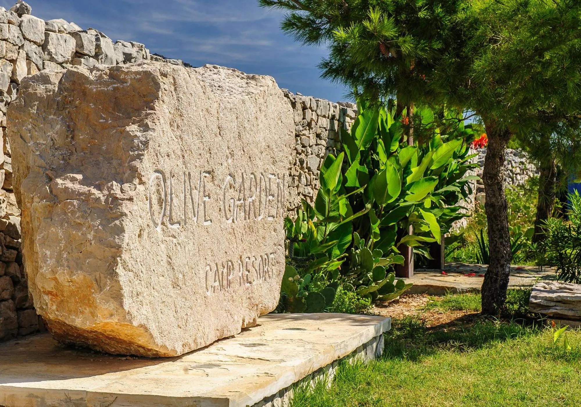 Garden in Mobile Homes Holiday Olive Garden