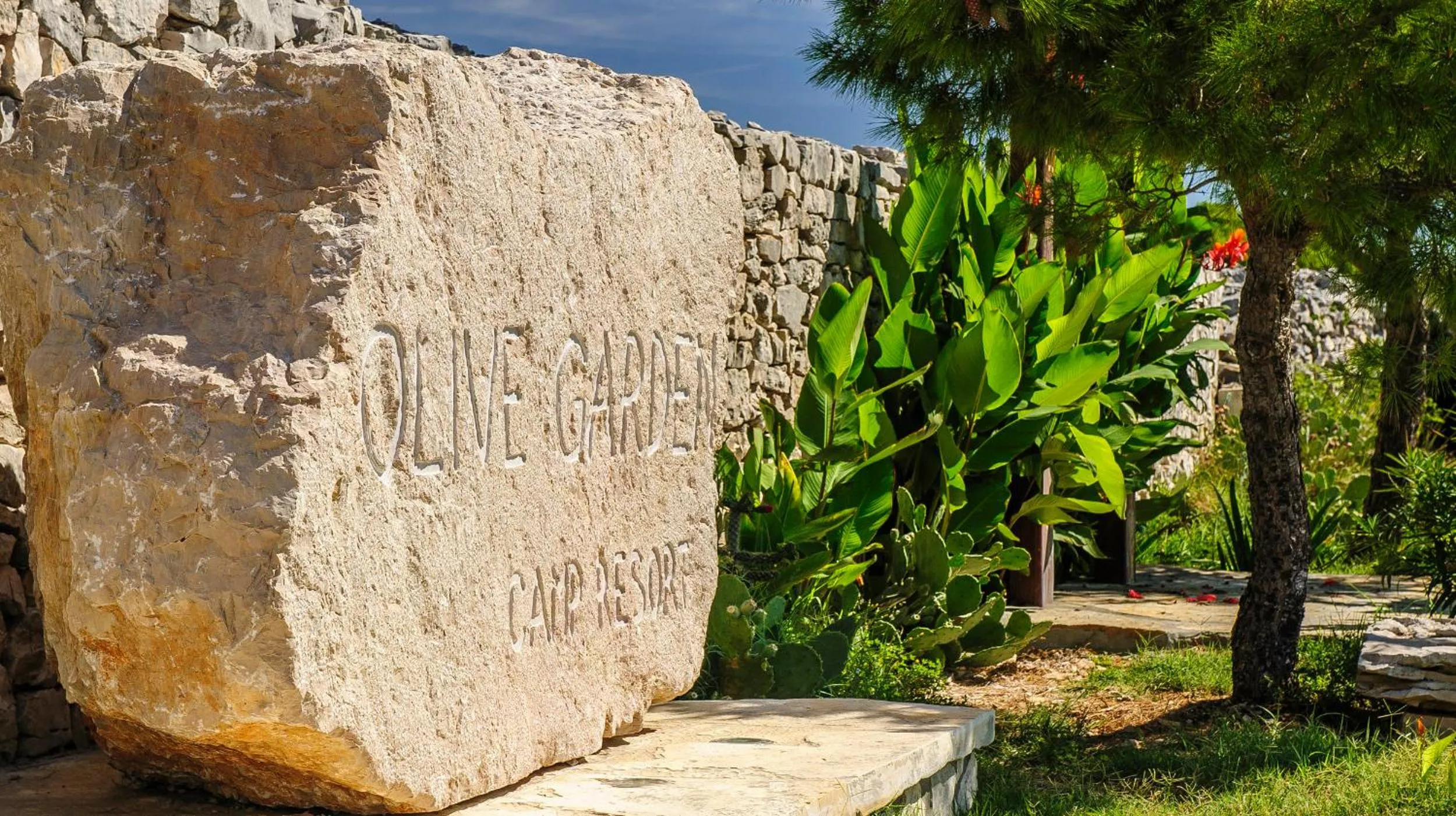 Garden in Mobile Homes Holiday Olive Garden