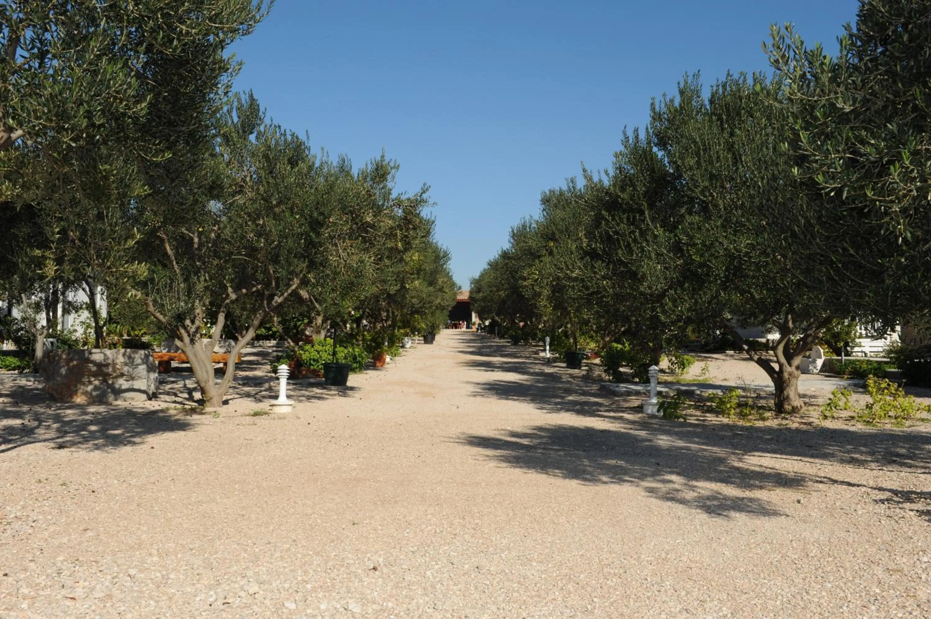 Natural landscape in Mobile Homes Holiday Olive Garden