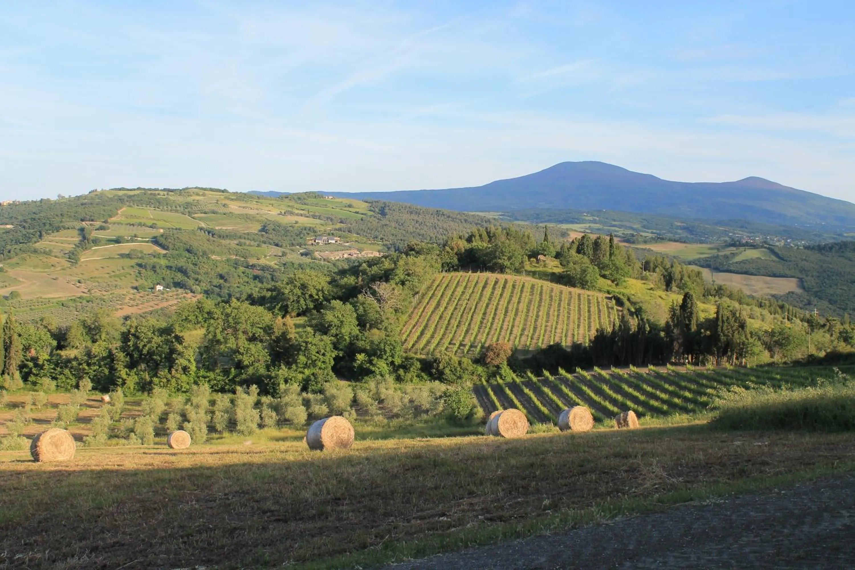 Natural landscape in Agriturismo Il Poderuccio