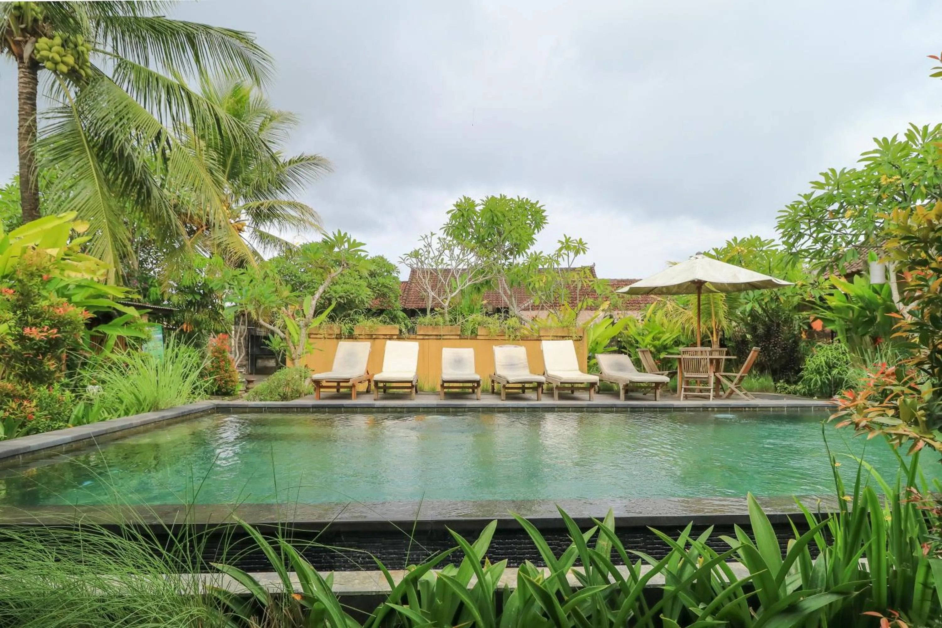 Swimming pool in Bali Sunshine Ubud