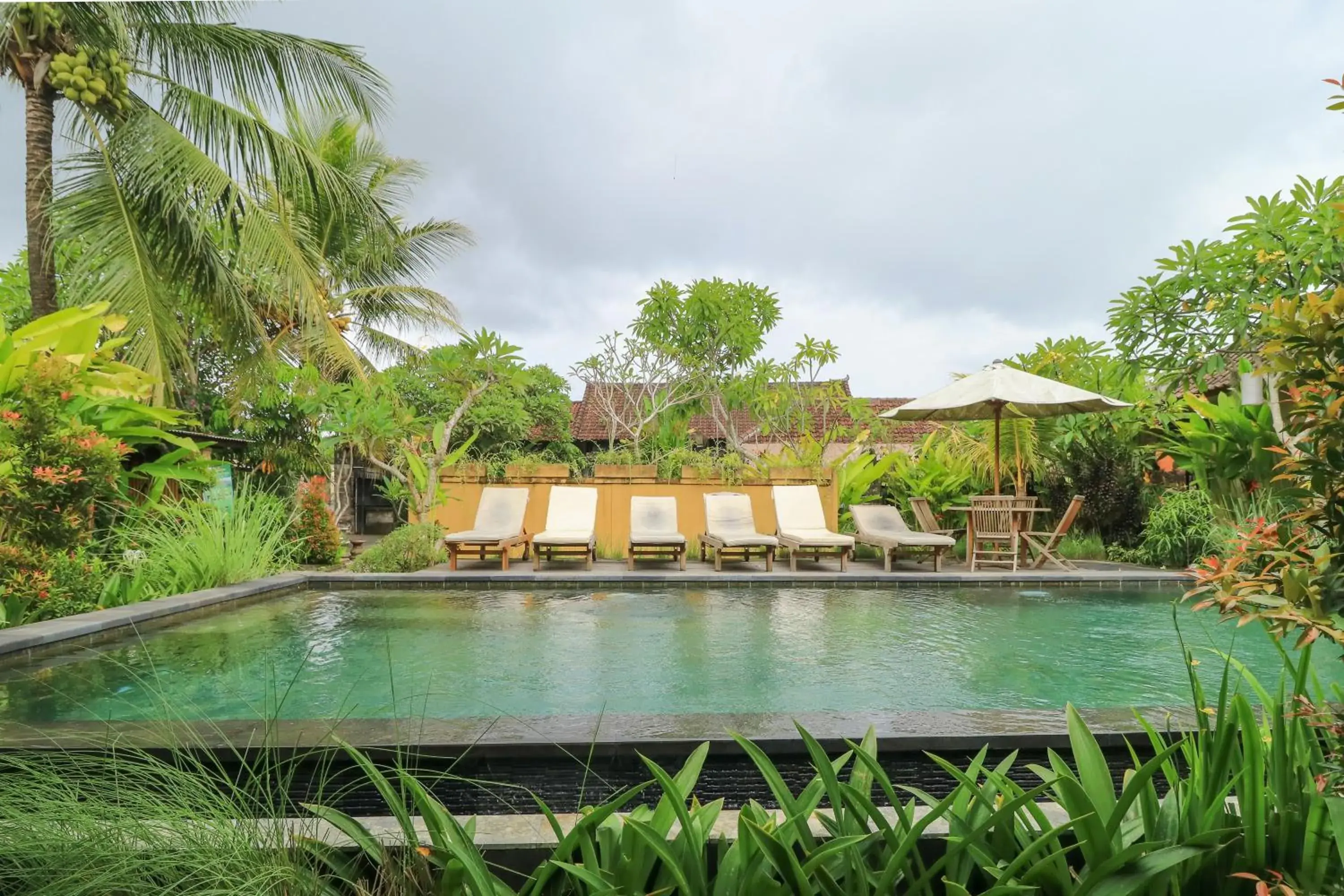 Swimming pool in Bali Sunshine Ubud Swimming pool in Bali Sunshine Ubud
