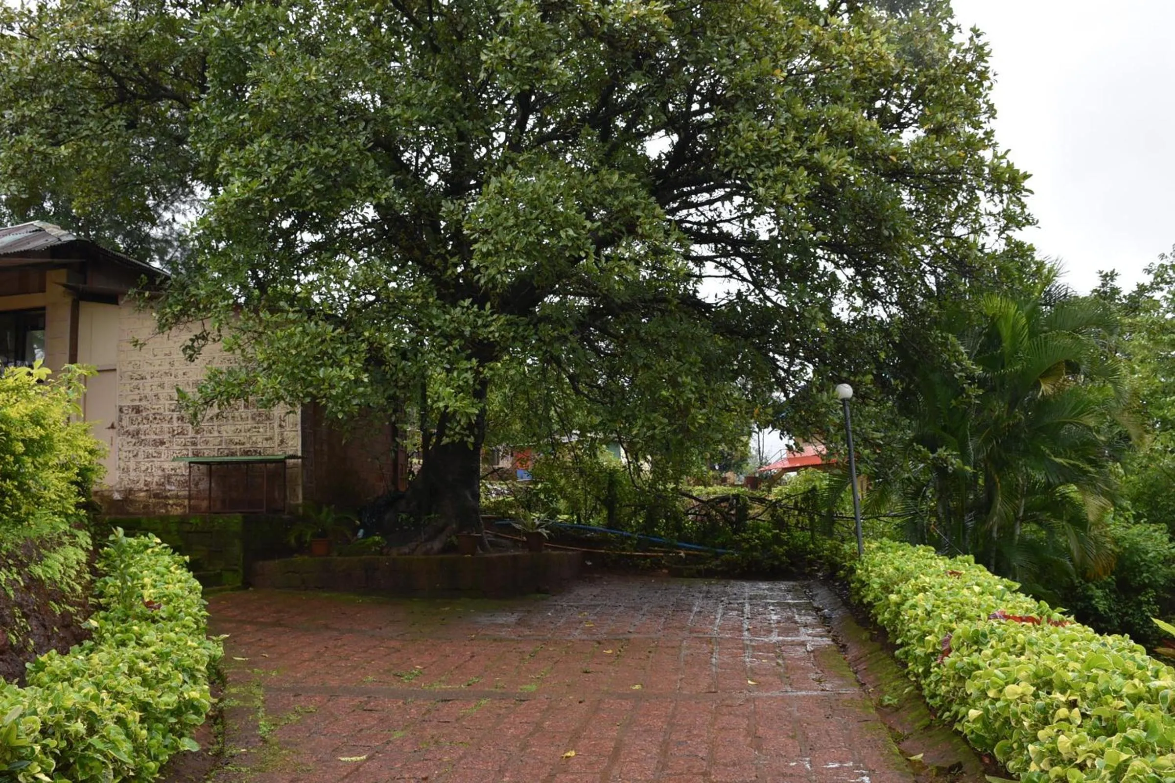 Area and facilities in Wind Chalet