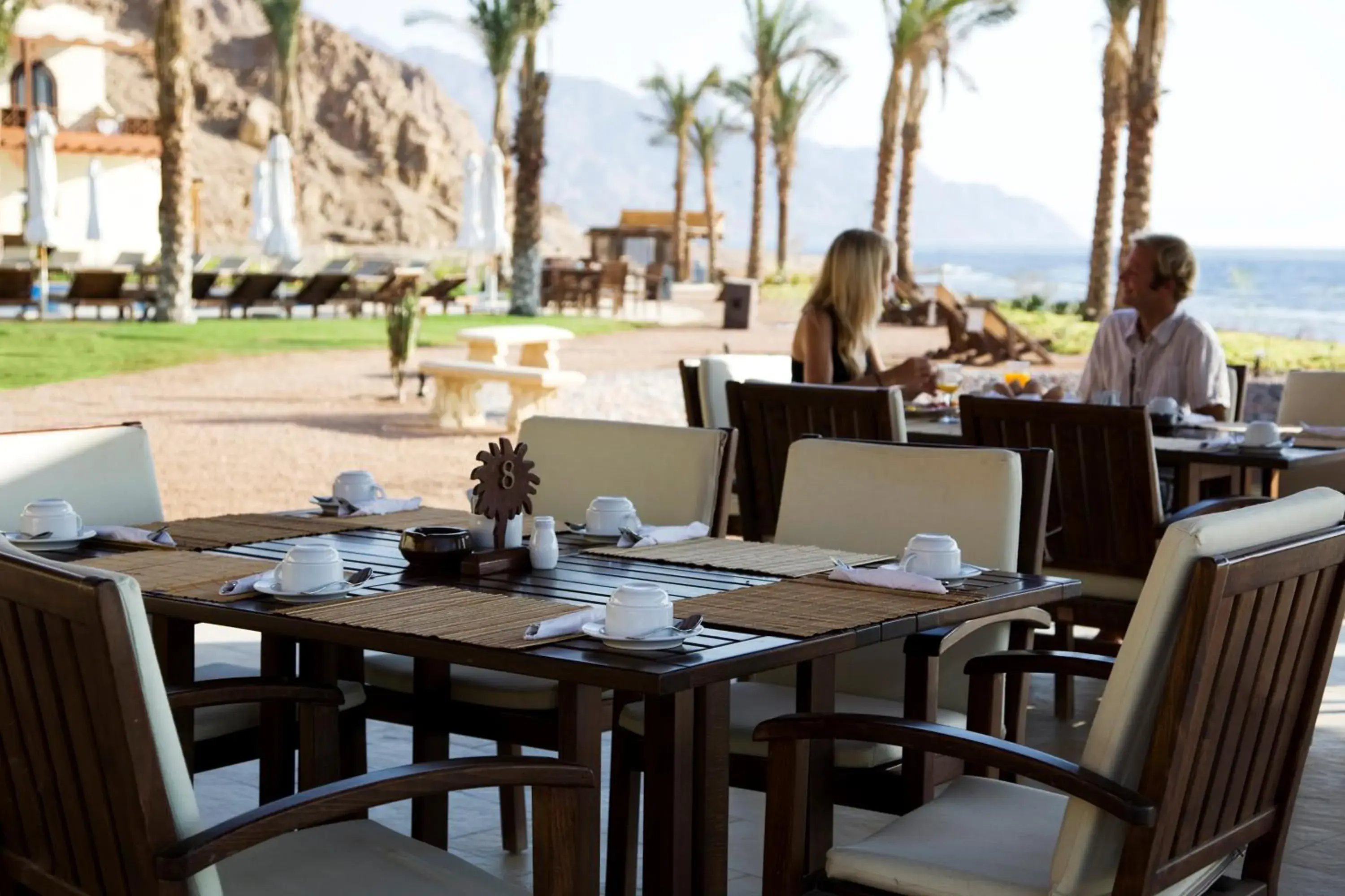 Restaurant/places to eat in Dahab Paradise Restaurant/places to eat in Dahab Paradise