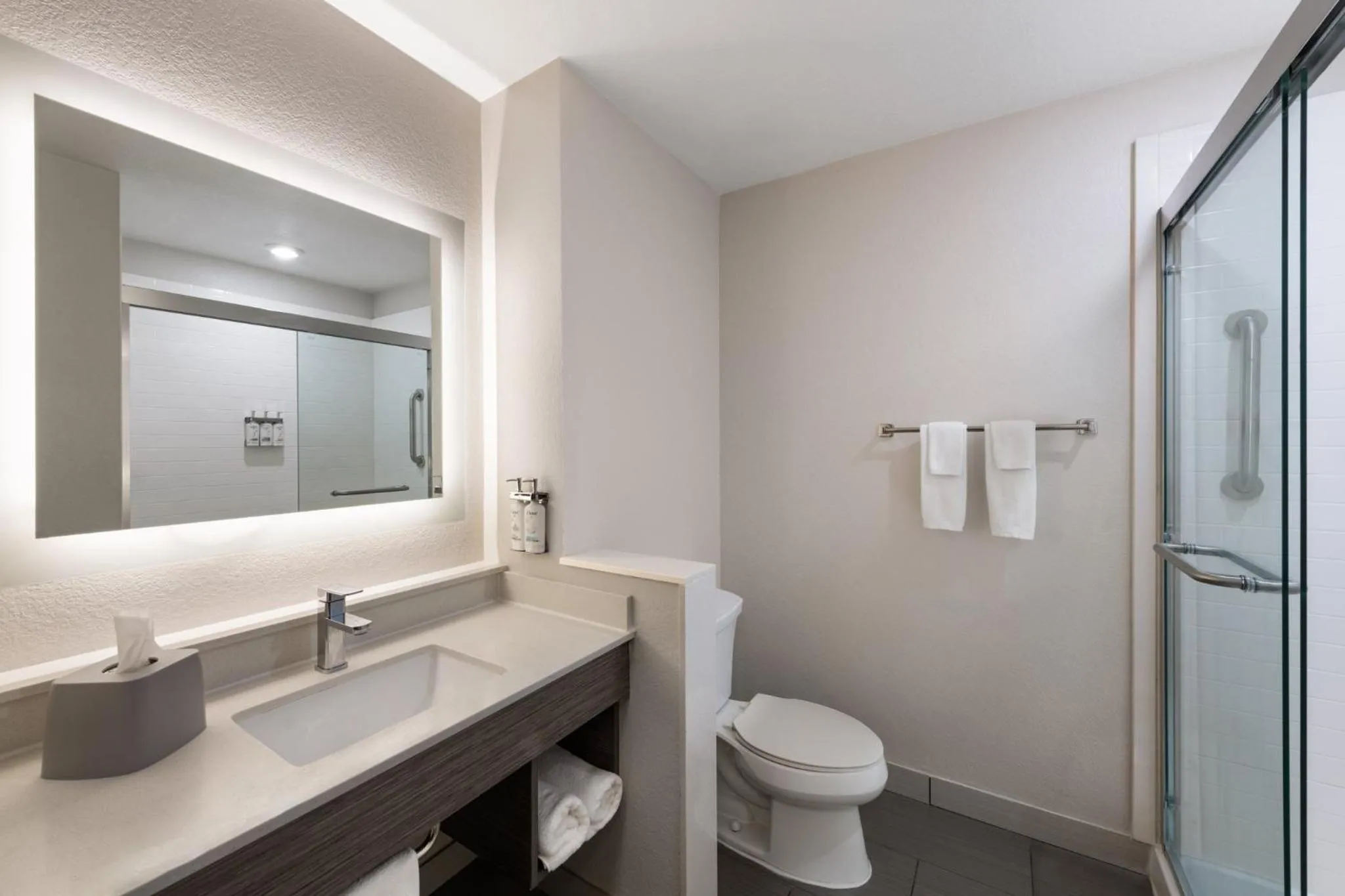 Bathroom in Holiday Inn Express & Suites Boynton Beach by IHG