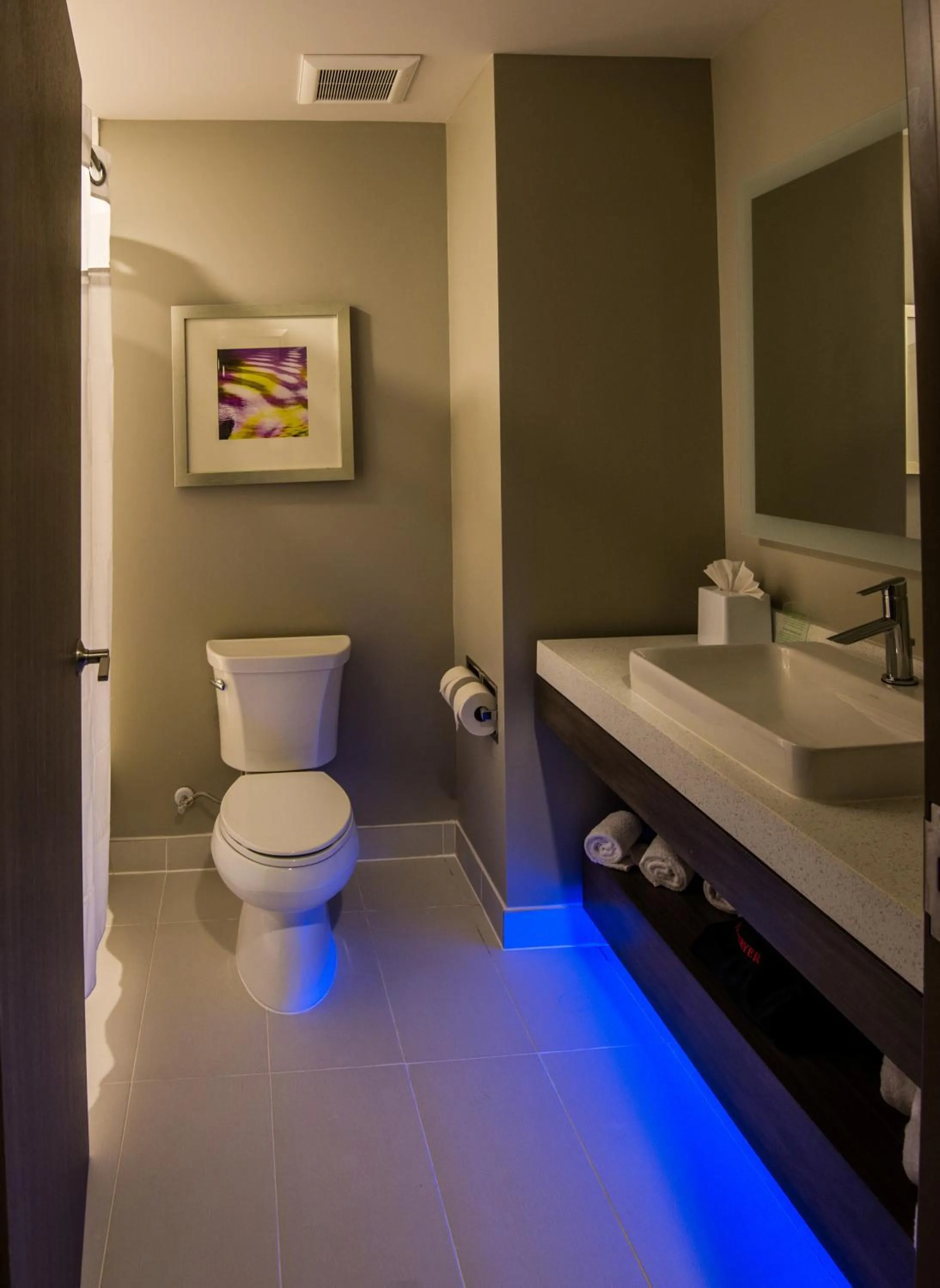 Bathroom in Holiday Inn Express & Suites Garland E - Lake Hubbard I30 by IHG