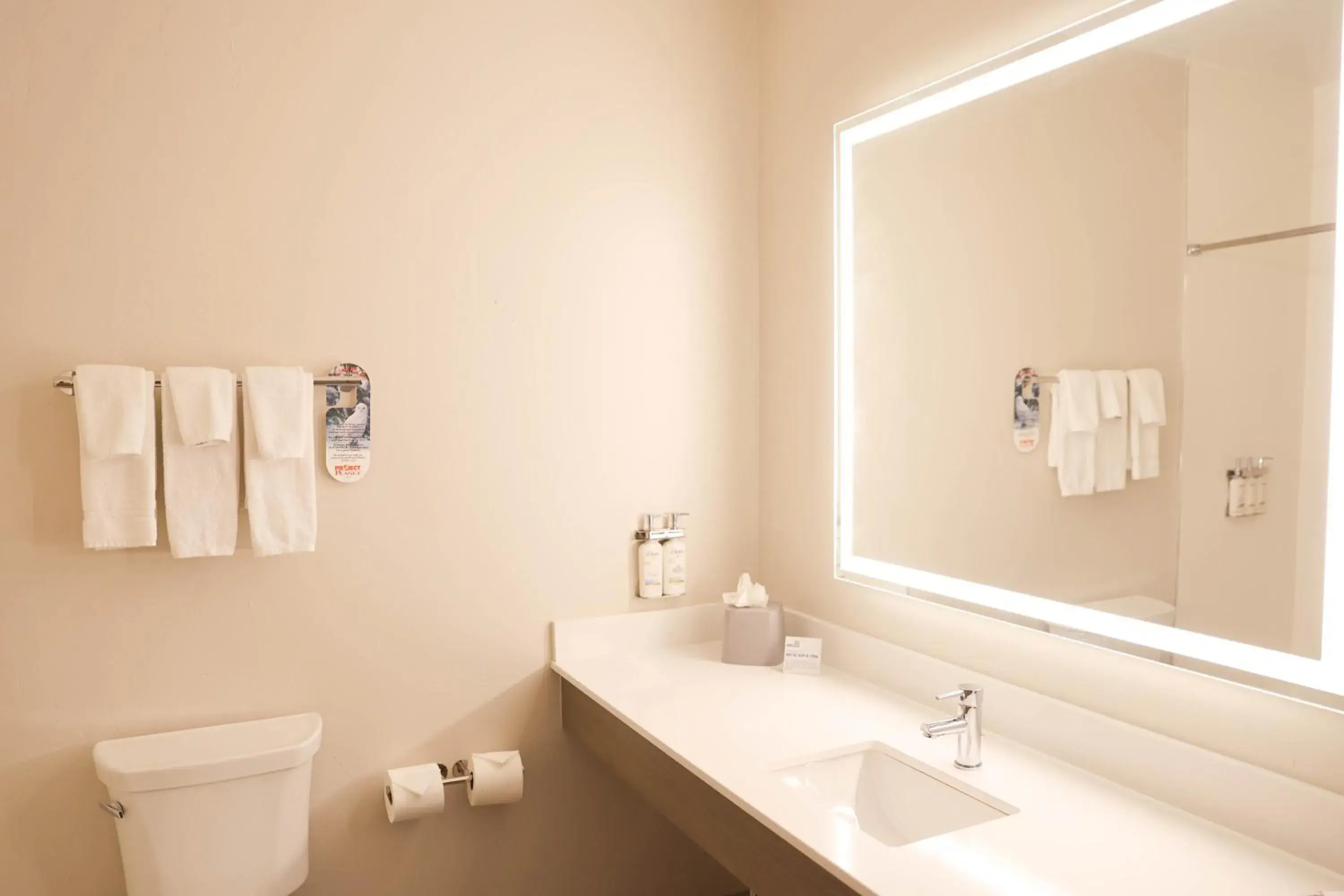 Standard Room with Two Queen Beds in Holiday Inn Express & Suites Douglas by IHG Standard Room with Two Queen Beds in Holiday Inn Express & Suites Douglas by IHG