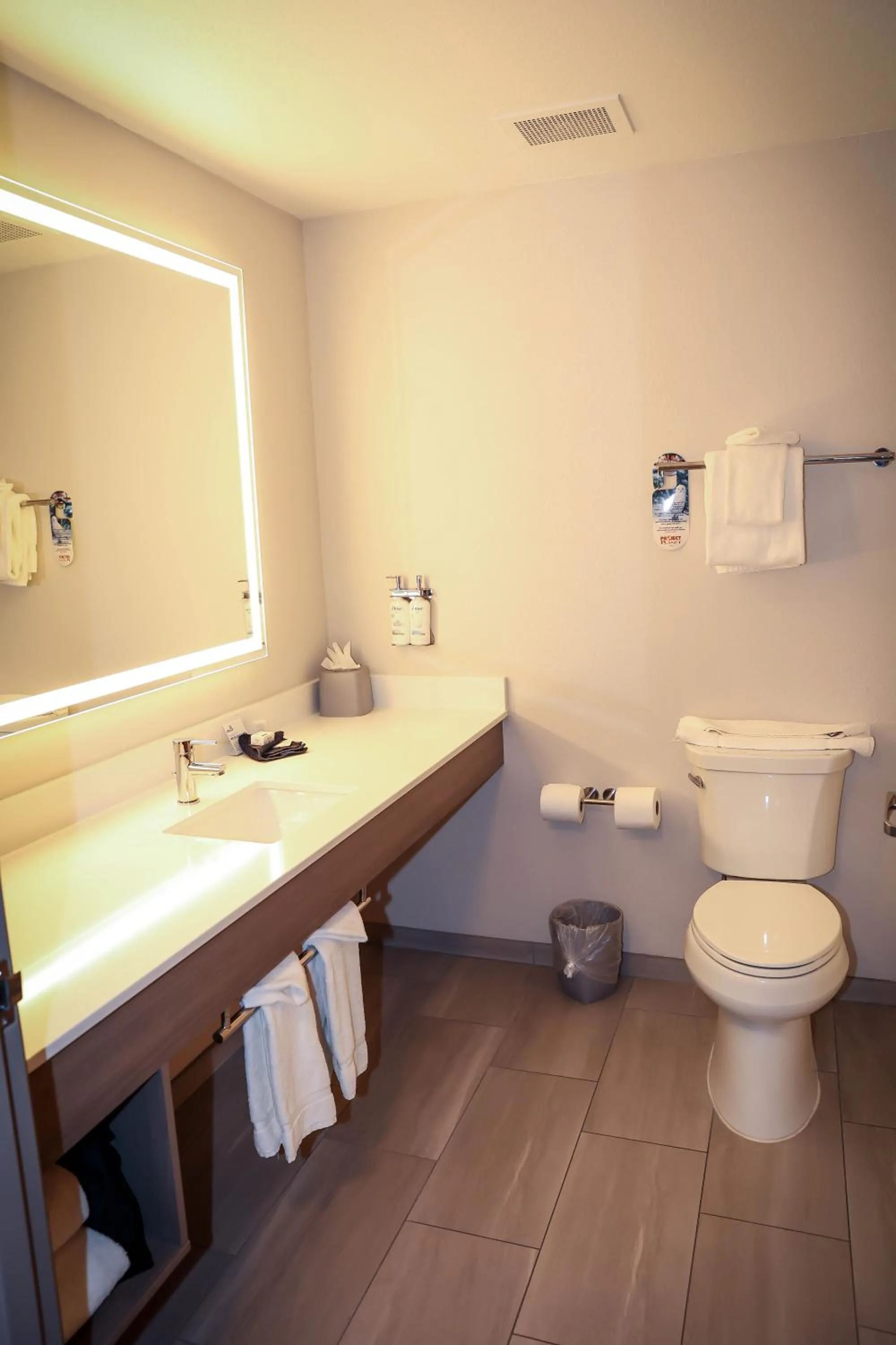 Bathroom in Holiday Inn Express & Suites Douglas by IHG