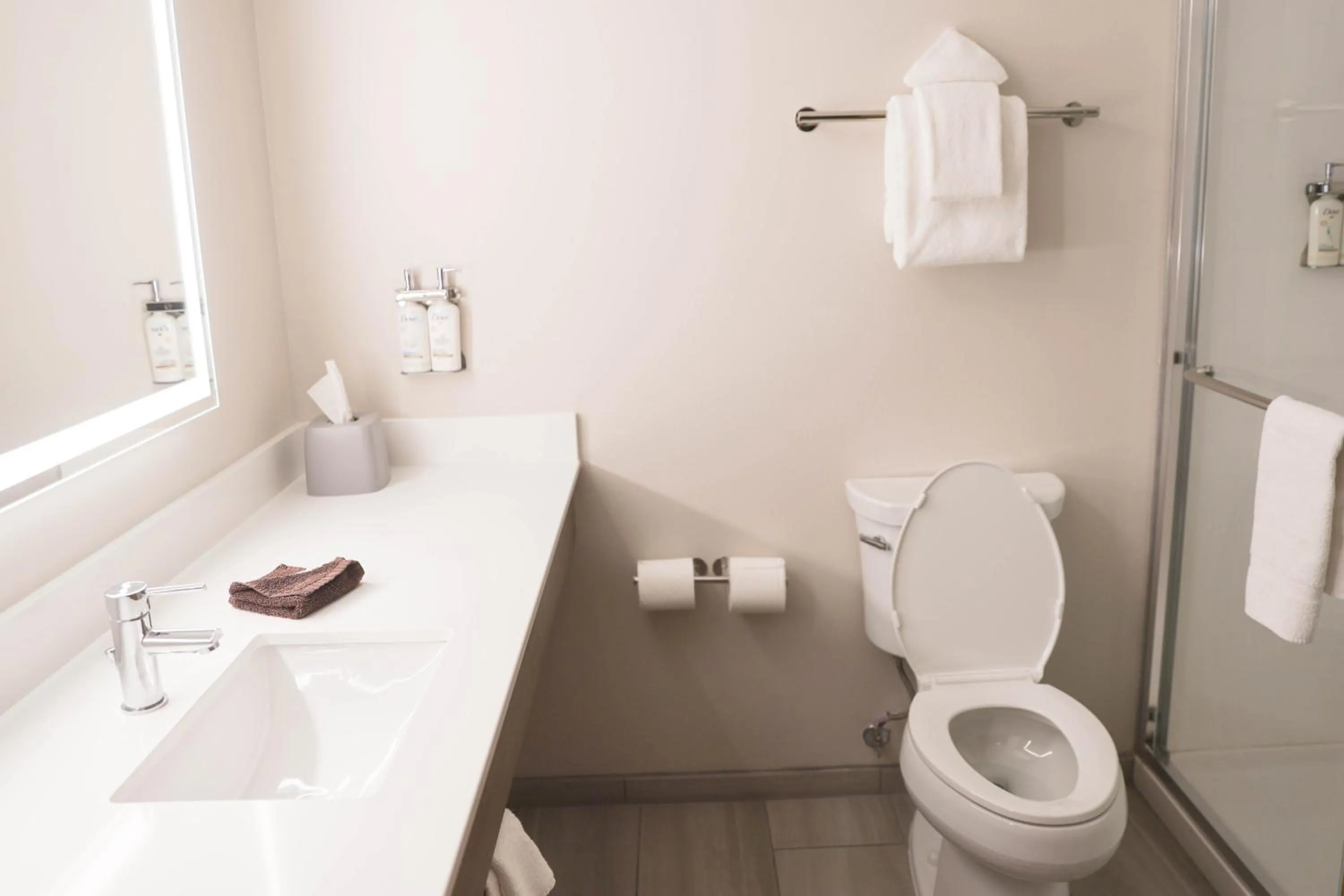 Shower in Holiday Inn Express & Suites Douglas by IHG