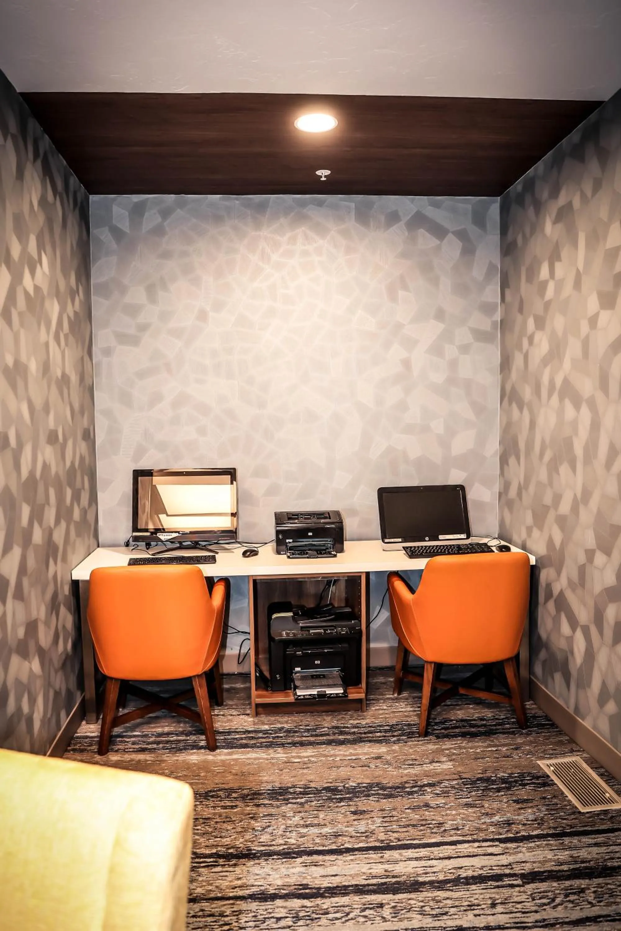 Business facilities in Holiday Inn Express & Suites Douglas by IHG