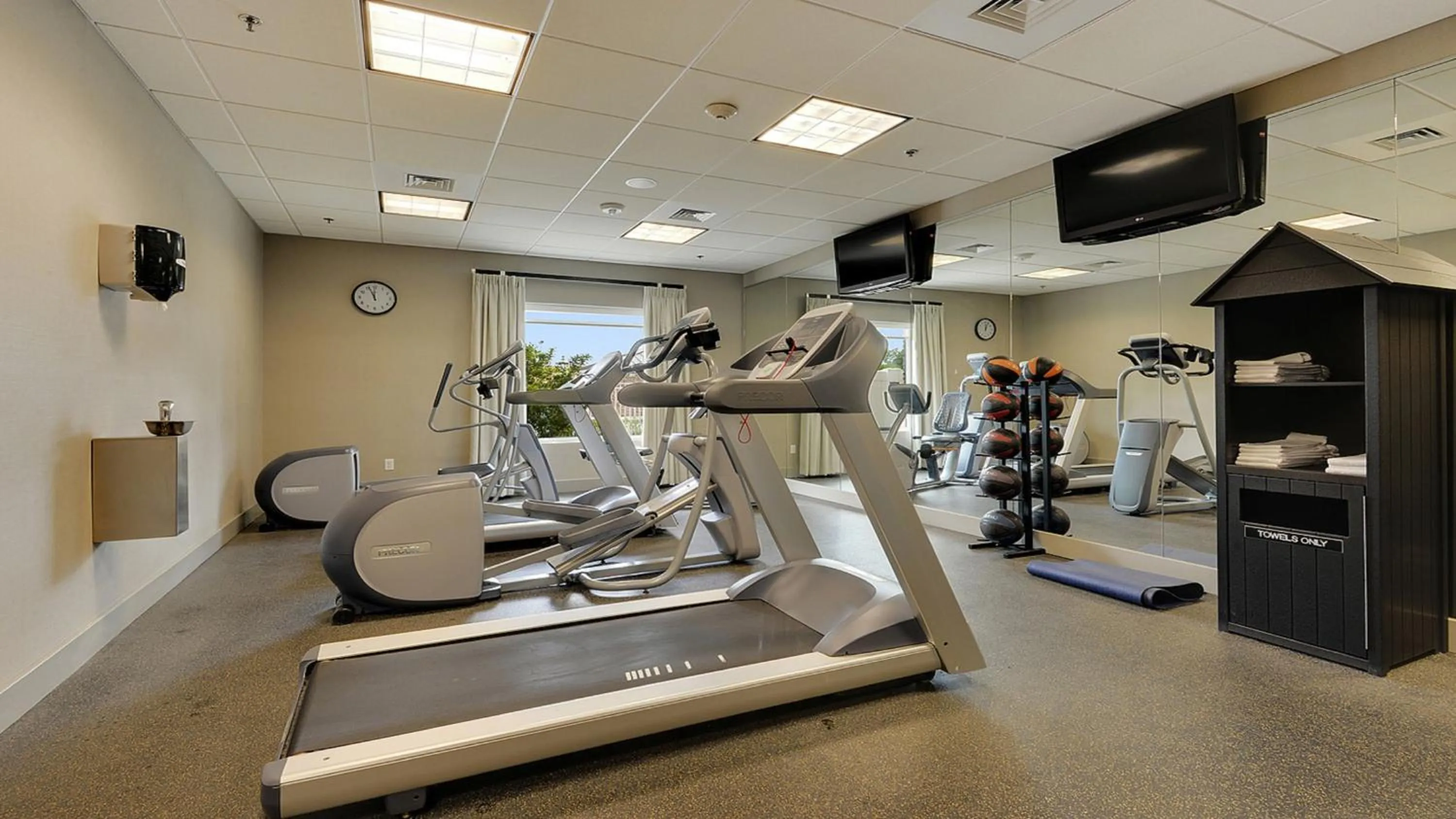 Fitness centre/facilities in Holiday Inn Express & Suites Gonzales by IHG