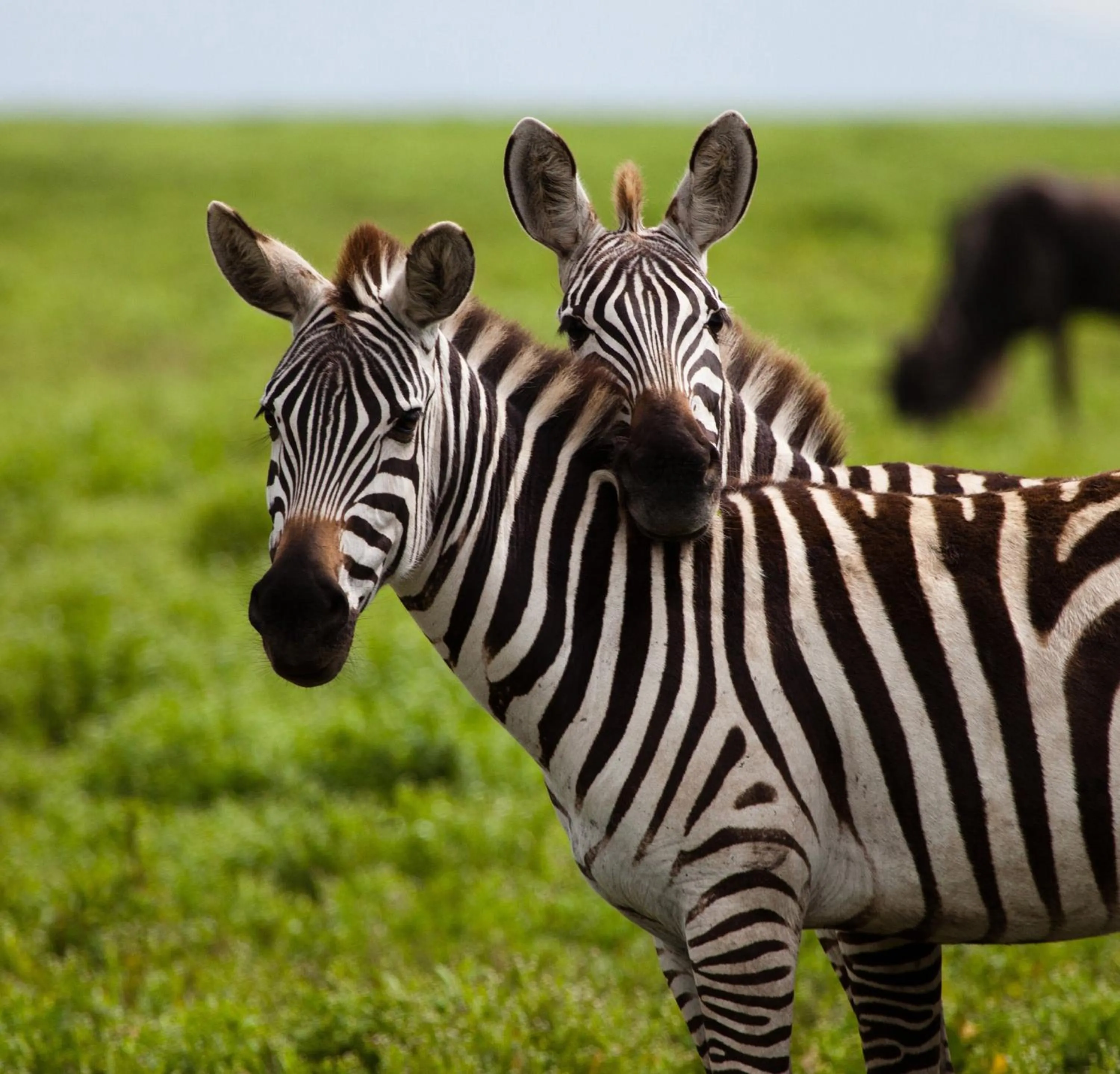 Nearby landmark in Holiday Inn Express & Suites Lakeland South by IHG