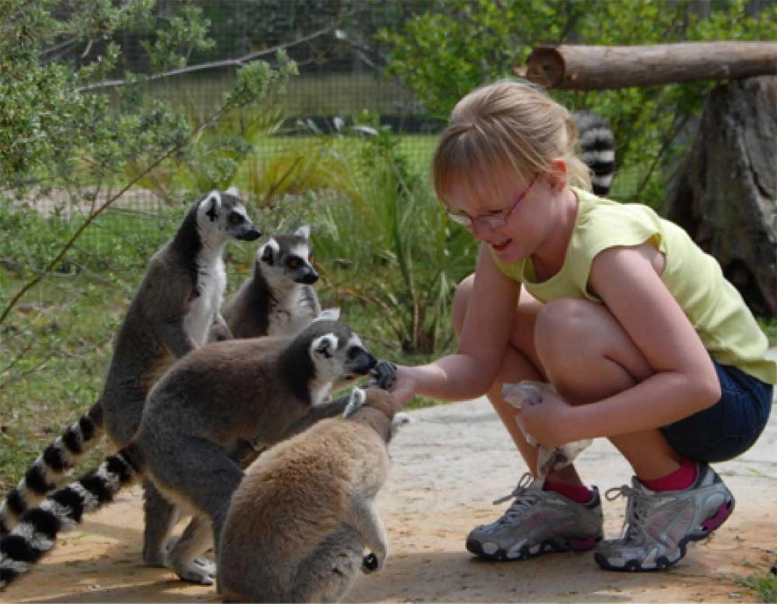 Nearby landmark in Holiday Inn Express & Suites Lakeland South by IHG