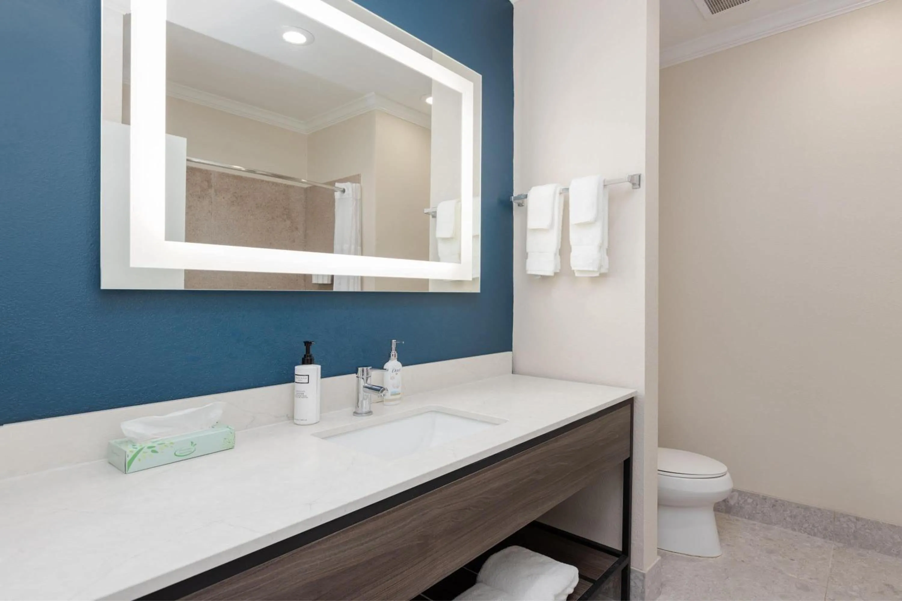 Bathroom in Wyndham Lake Charles