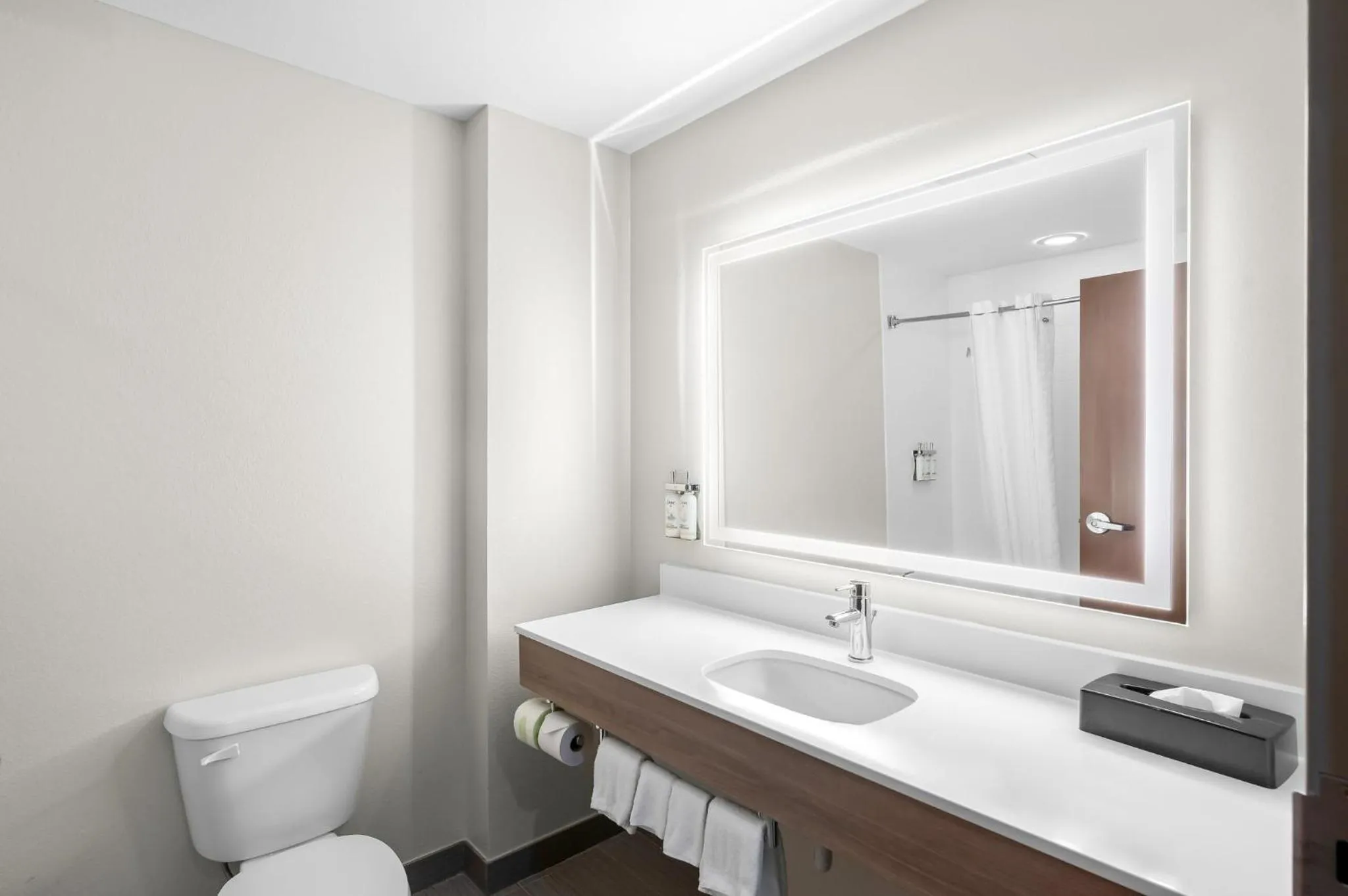 Bathroom in Holiday Inn Express & Suites Morrilton by IHG