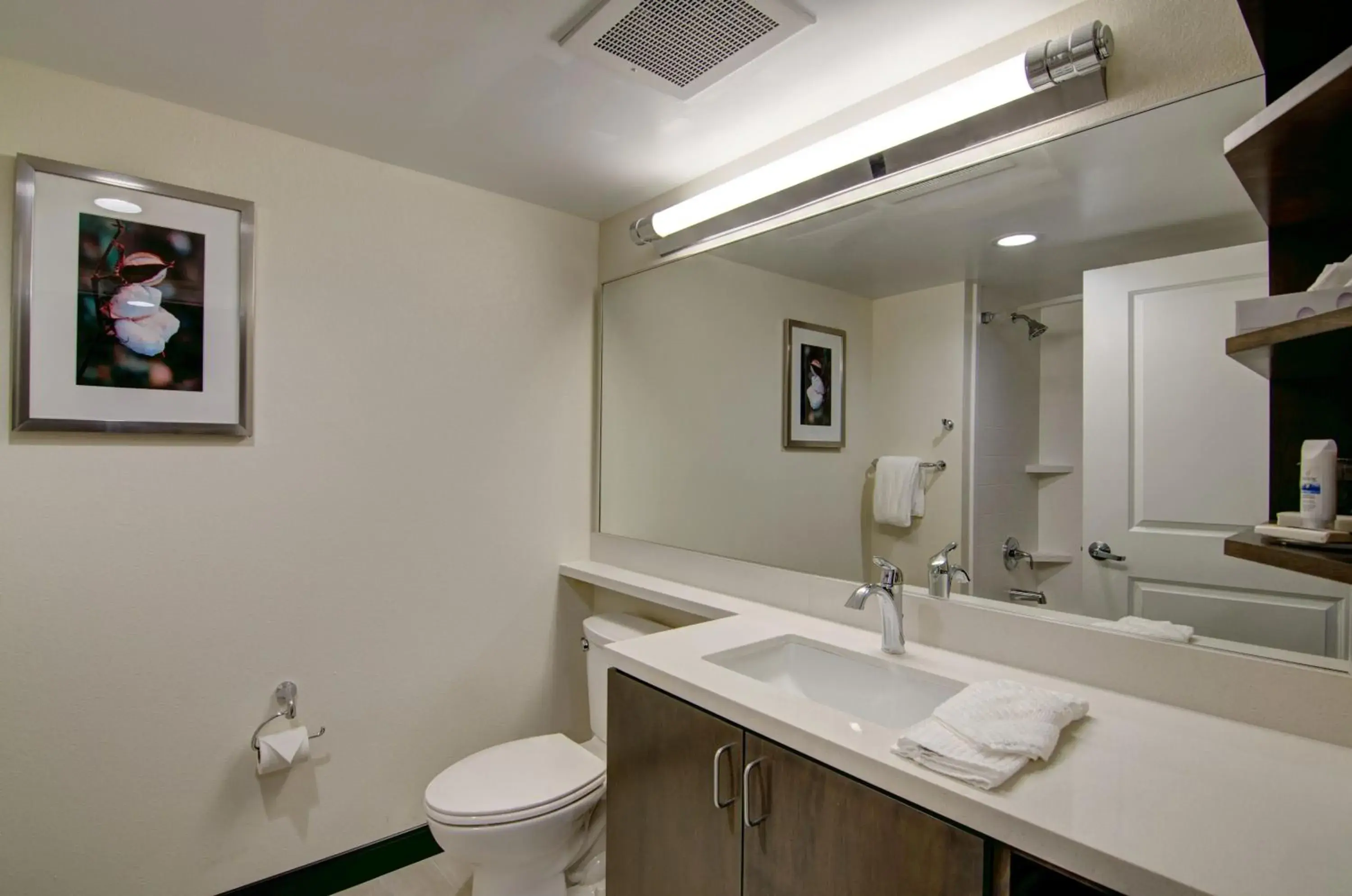 King Studio Suite with Bath Tub - Mobility Access in Candlewood Suites Richmond - West Broad by IHG King Studio Suite with Bath Tub - Mobility Access in Candlewood Suites Richmond - West Broad by IHG