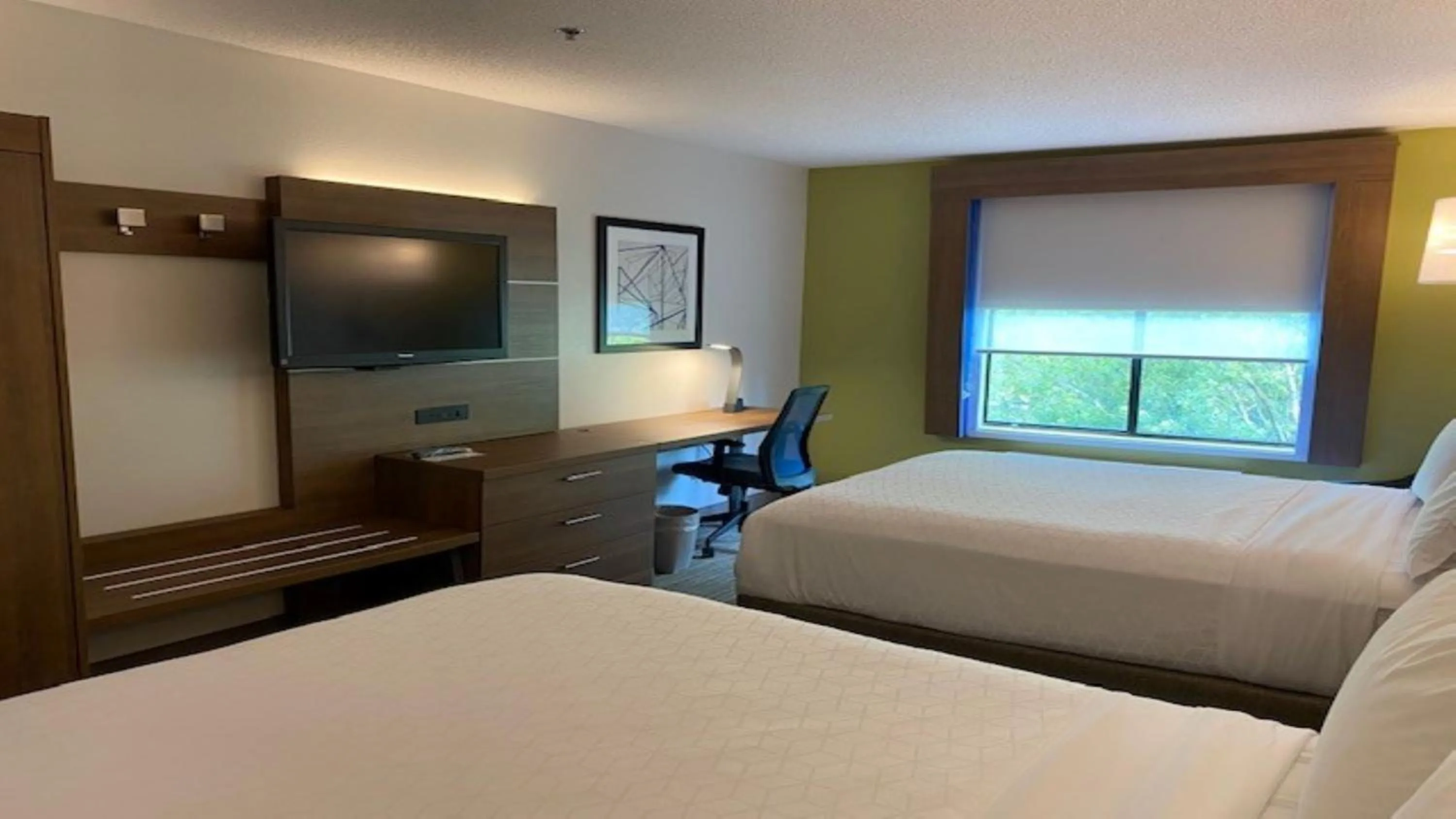 Photo of the whole room, Bed in Holiday Inn Express & Suites Reidsville by IHG