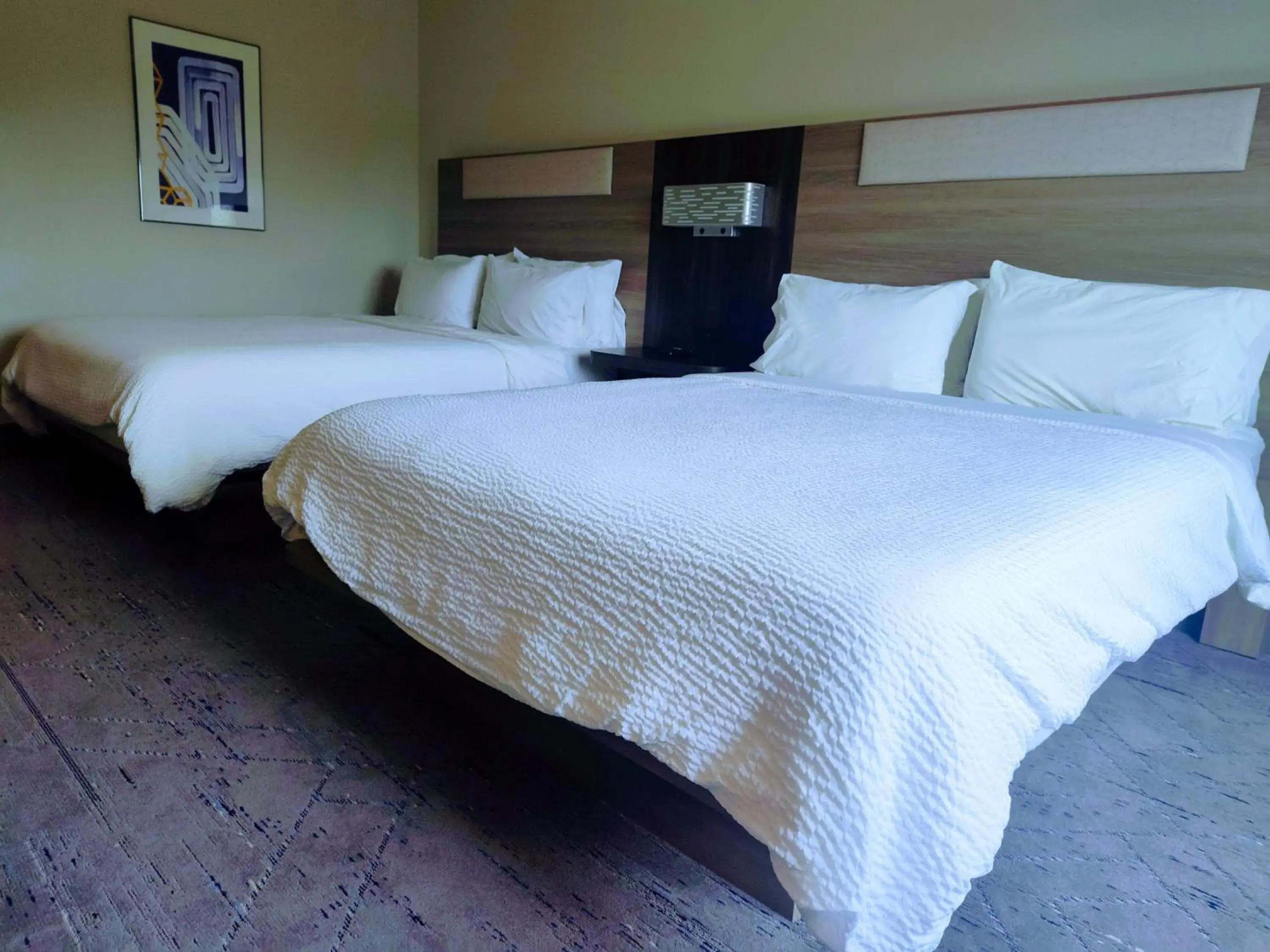 Standard Queen Room with Two Queen Beds in Holiday Inn Express Kenedy by IHG Standard Queen Room with Two Queen Beds in Holiday Inn Express Kenedy by IHG