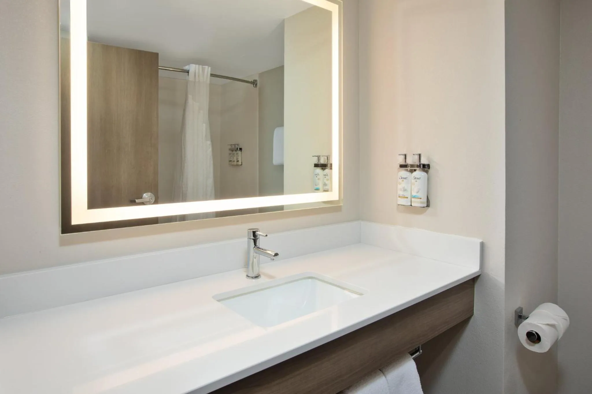 Bathroom in Holiday Inn Express & Suites I-26 & Us 29 At Westgate Mall by IHG