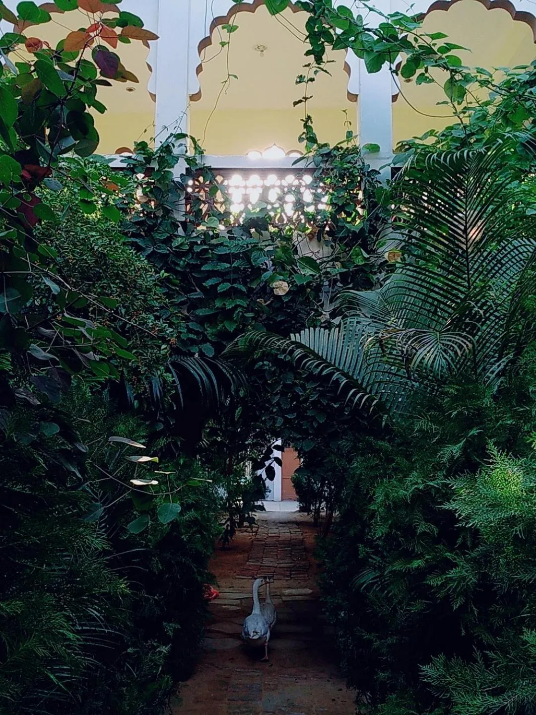 Radhika Palace Hotel